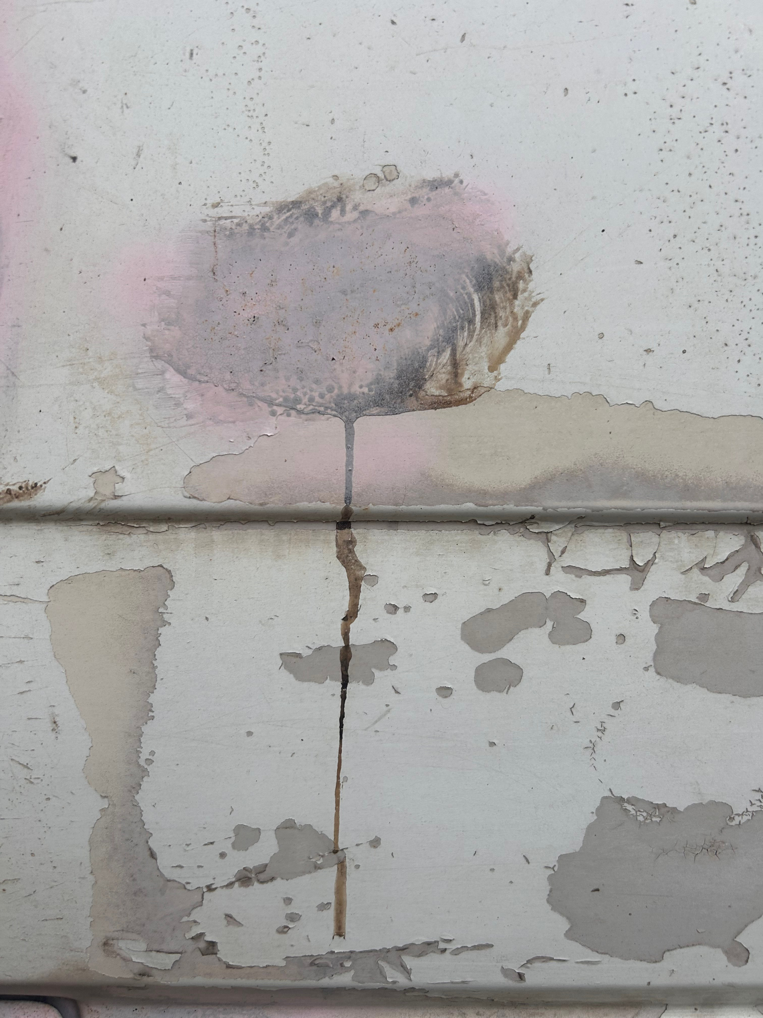 «Вижу». Ольга Пилант. АРТ, бэкстейдж, свадебная и семейная фотография, городской портрет, интерьерная фотография