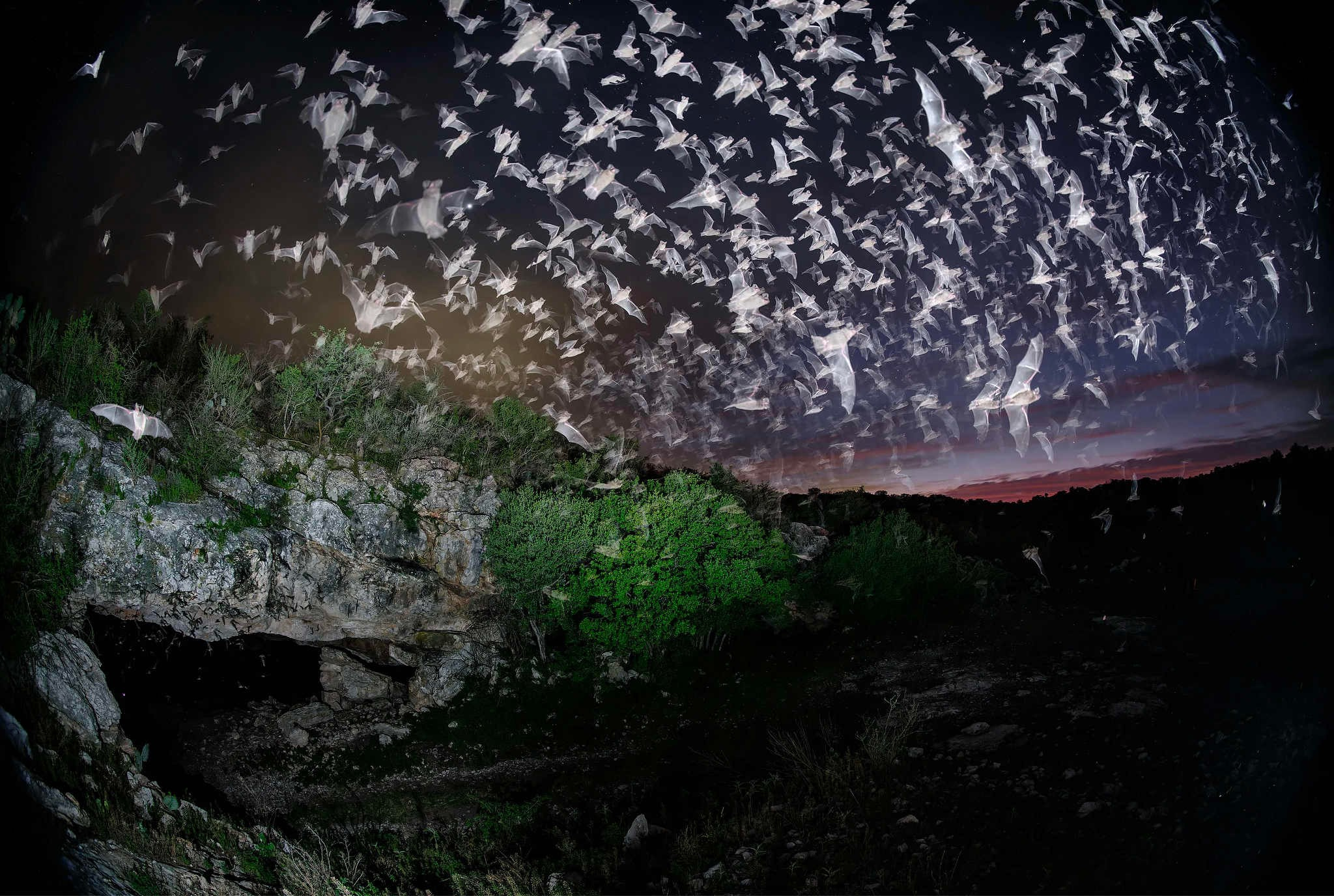 2024 год в объективе фотографов National Geographic. Фотограф Михаил Мордасов, Сочи. Мероприятия, портреты, спорт, репортаж