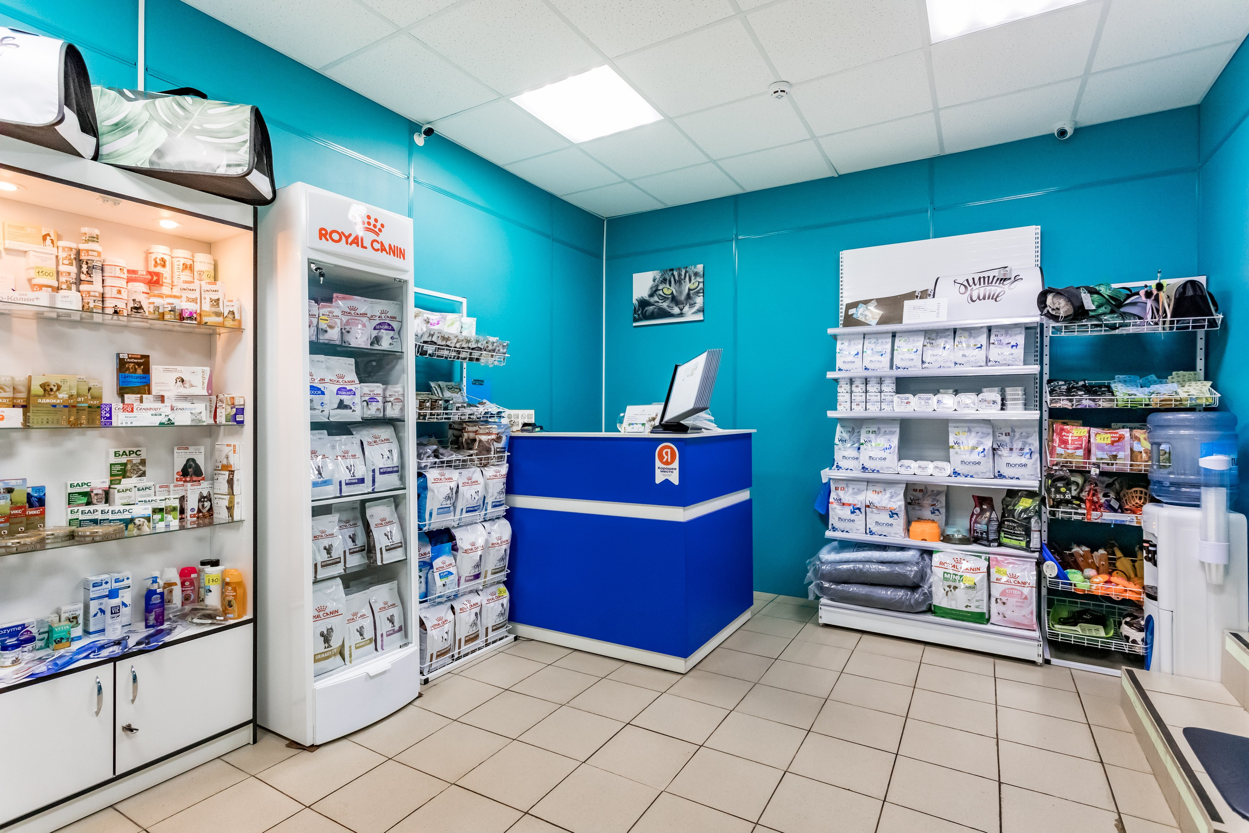 Интерьерная съемка для ветеринарной клиники Прив-вет. Интерьеры, Контент, Портреты | Фотограф в Москве Дани Терно