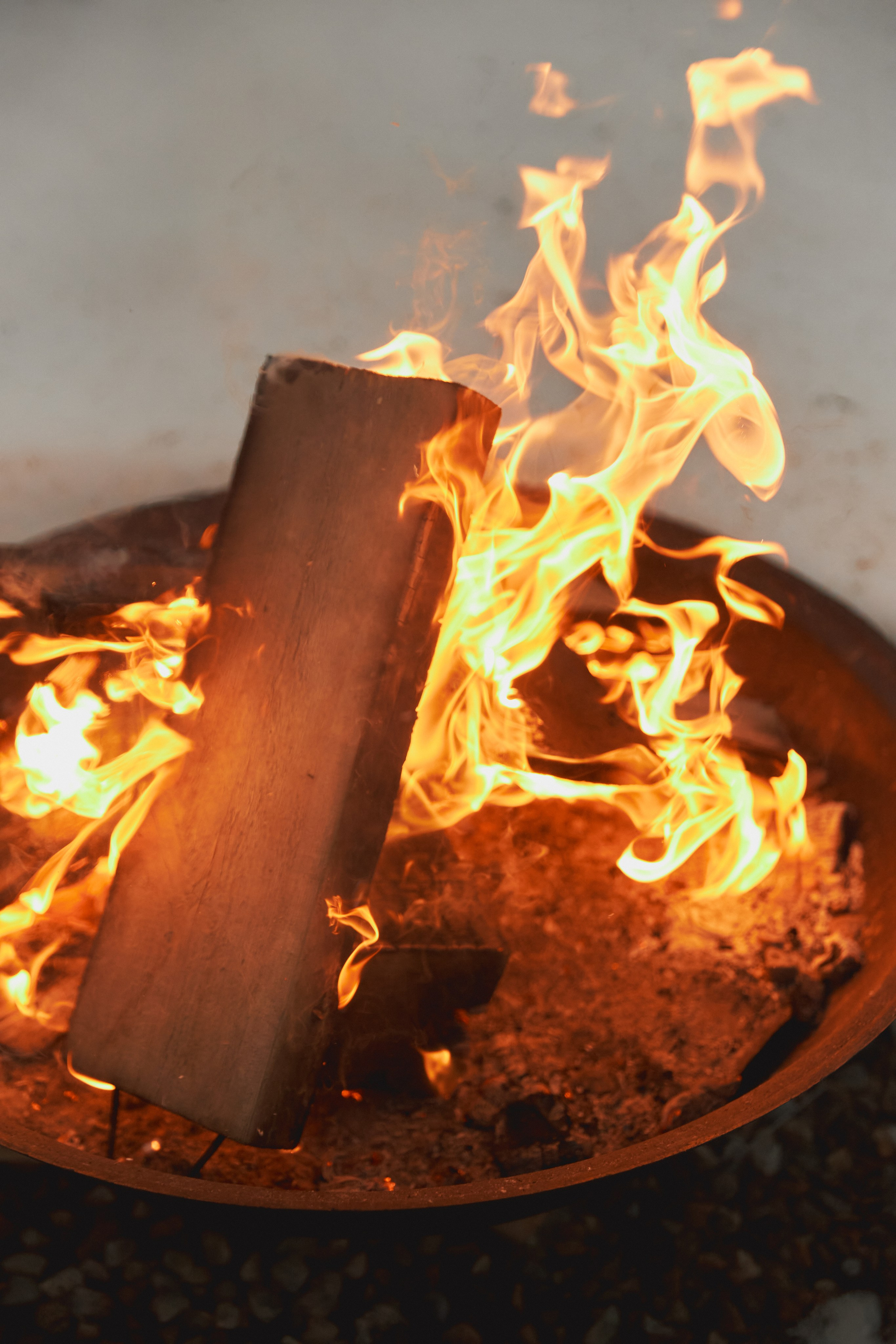 Мед и Дерево. Семейный и свадебный фотограф Лилия Матонина | Ангарск, Иркутск, Усолье-Сибирское, Байкал (Листвянка, Ольхон), Иркутская область