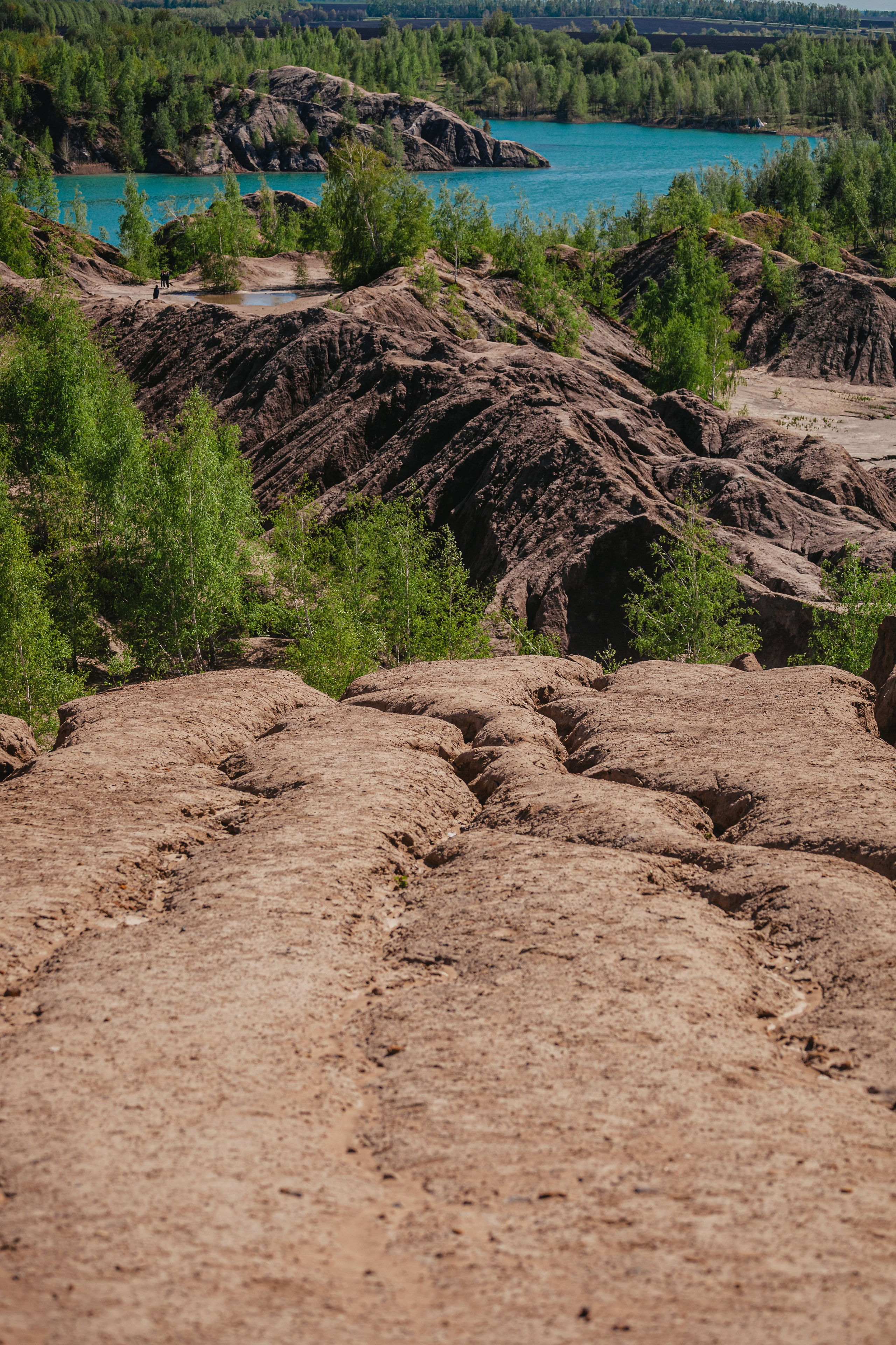 Кондуки. Фотограф-анималист Татьяна Степанова
