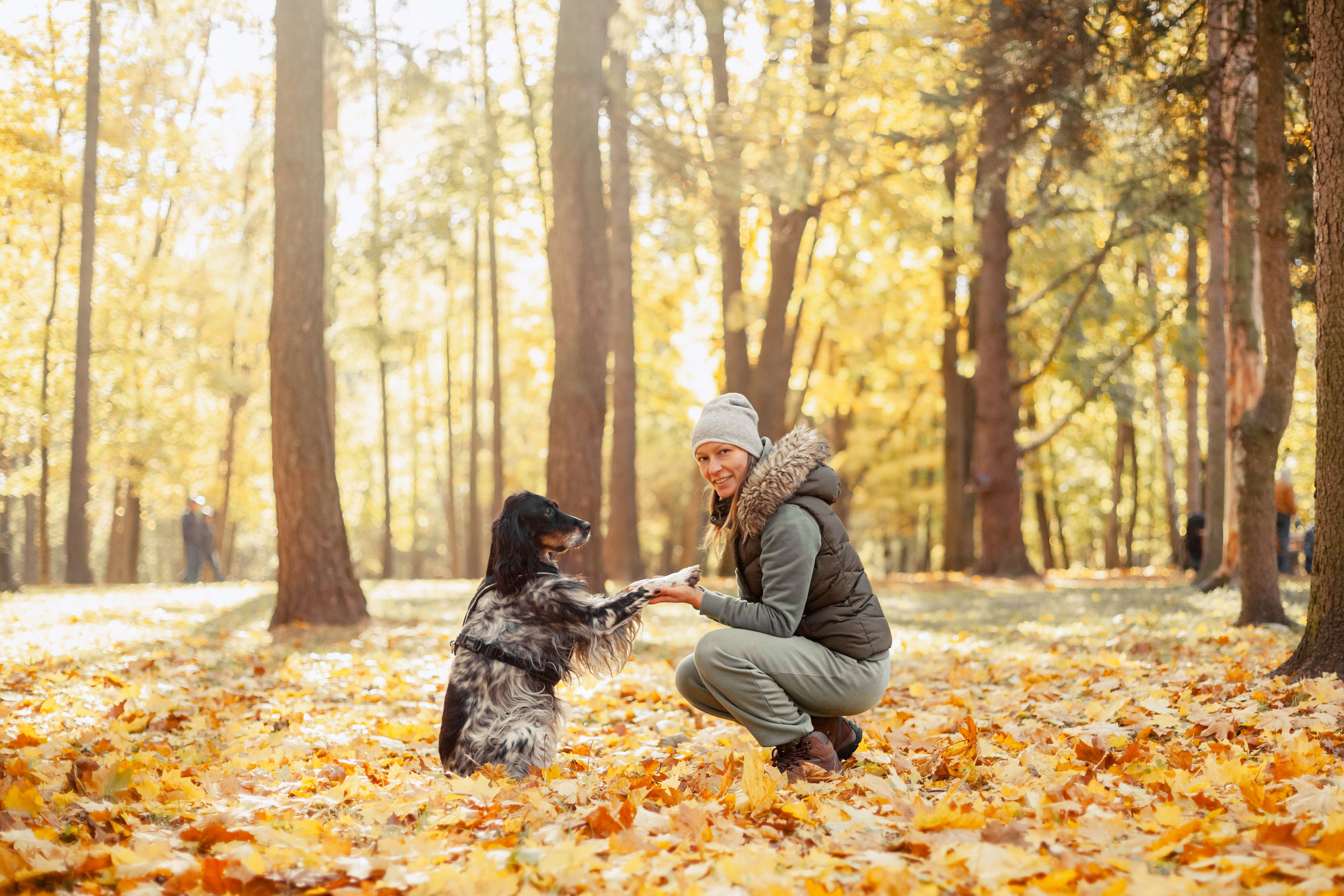 Фотограф-анималист Татьяна Степанова