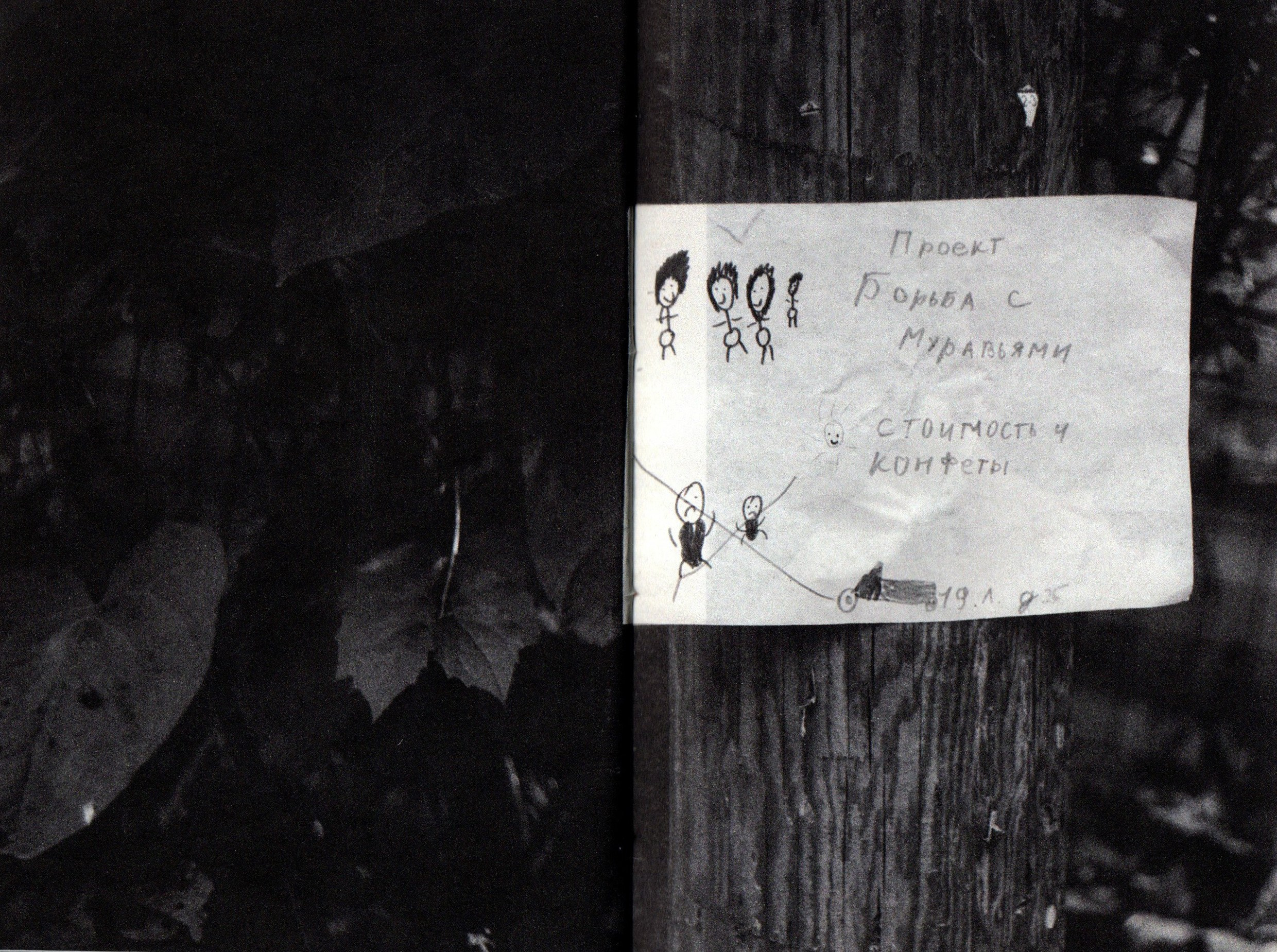 Любители ягодных пирогов. Фотограф Анна Кирнос