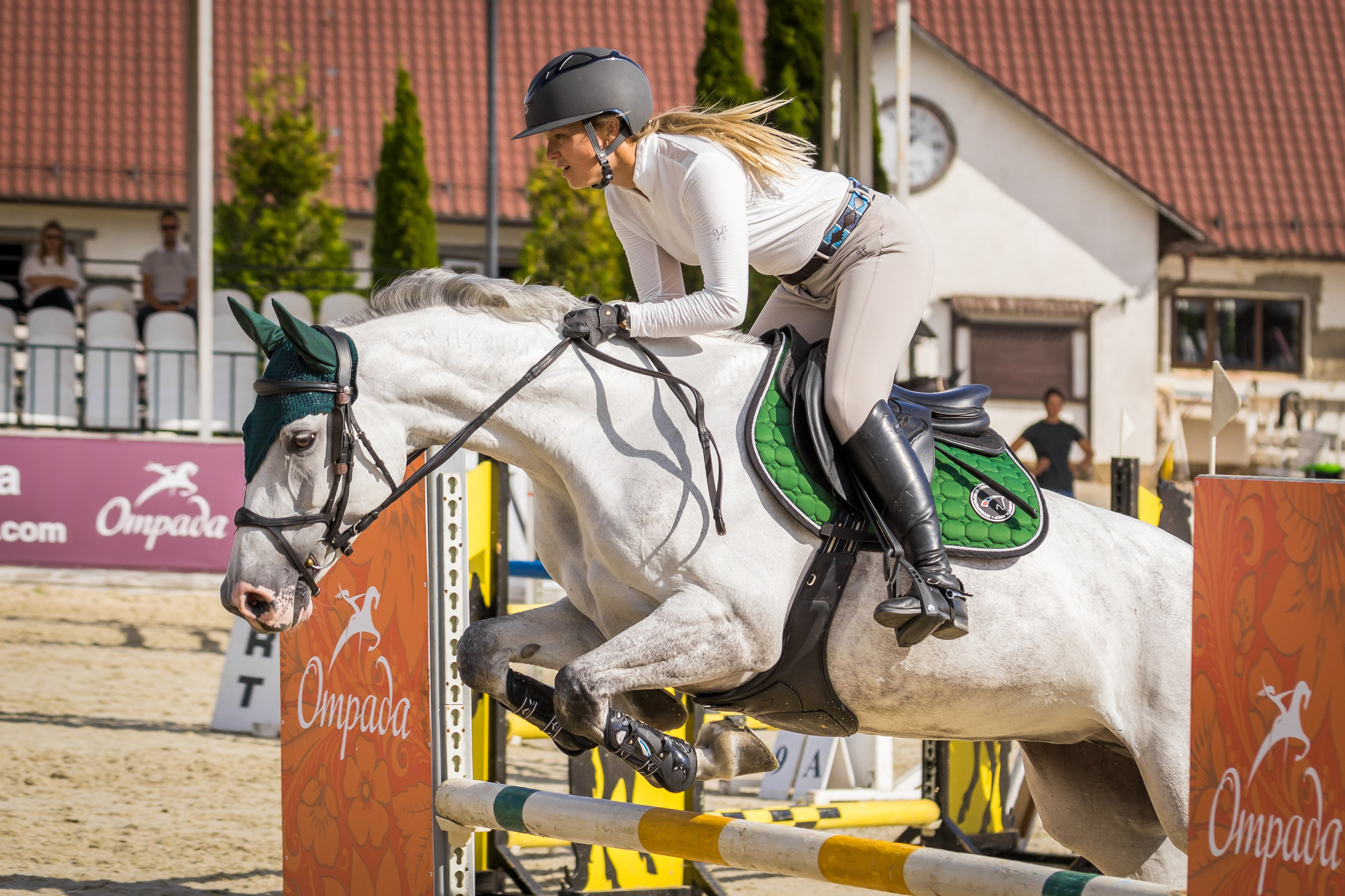 Конный спорт. Photomantis