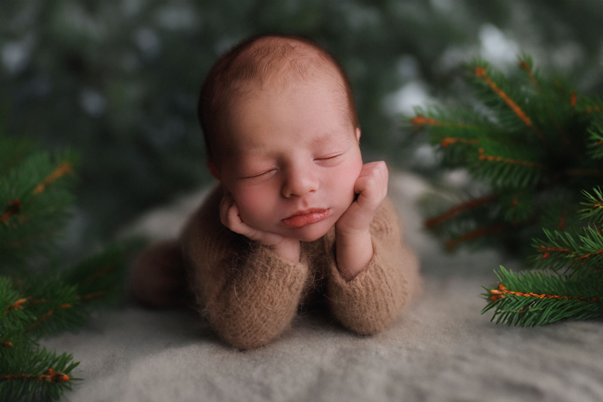 Новорожденные. Семейный фотограф и фотограф новорожденных в Санкт-Петербурге Алевтина