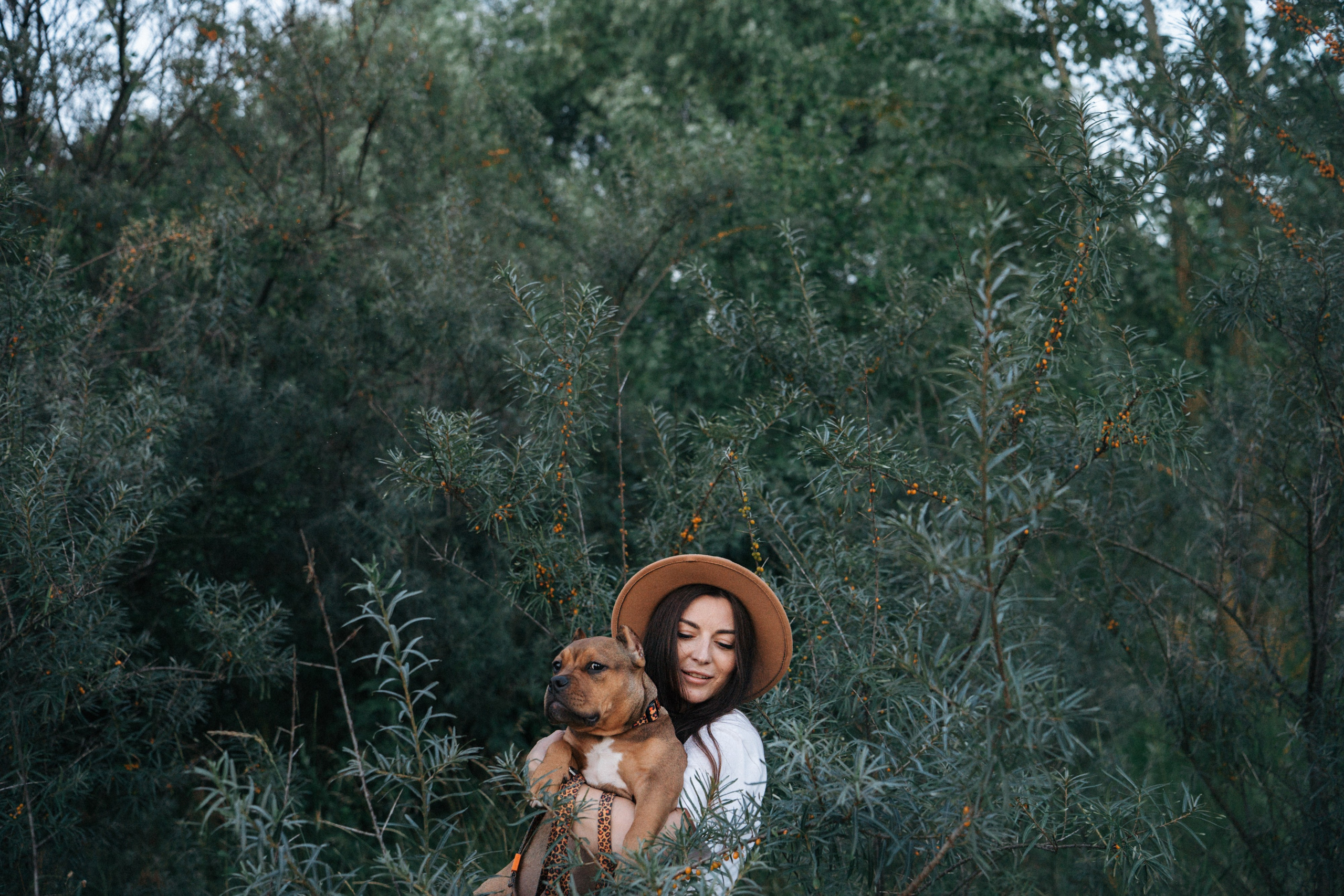Кристина и Эфи. Фотограф анималист в Москве и Санкт-Петербурге Свиридова Анна