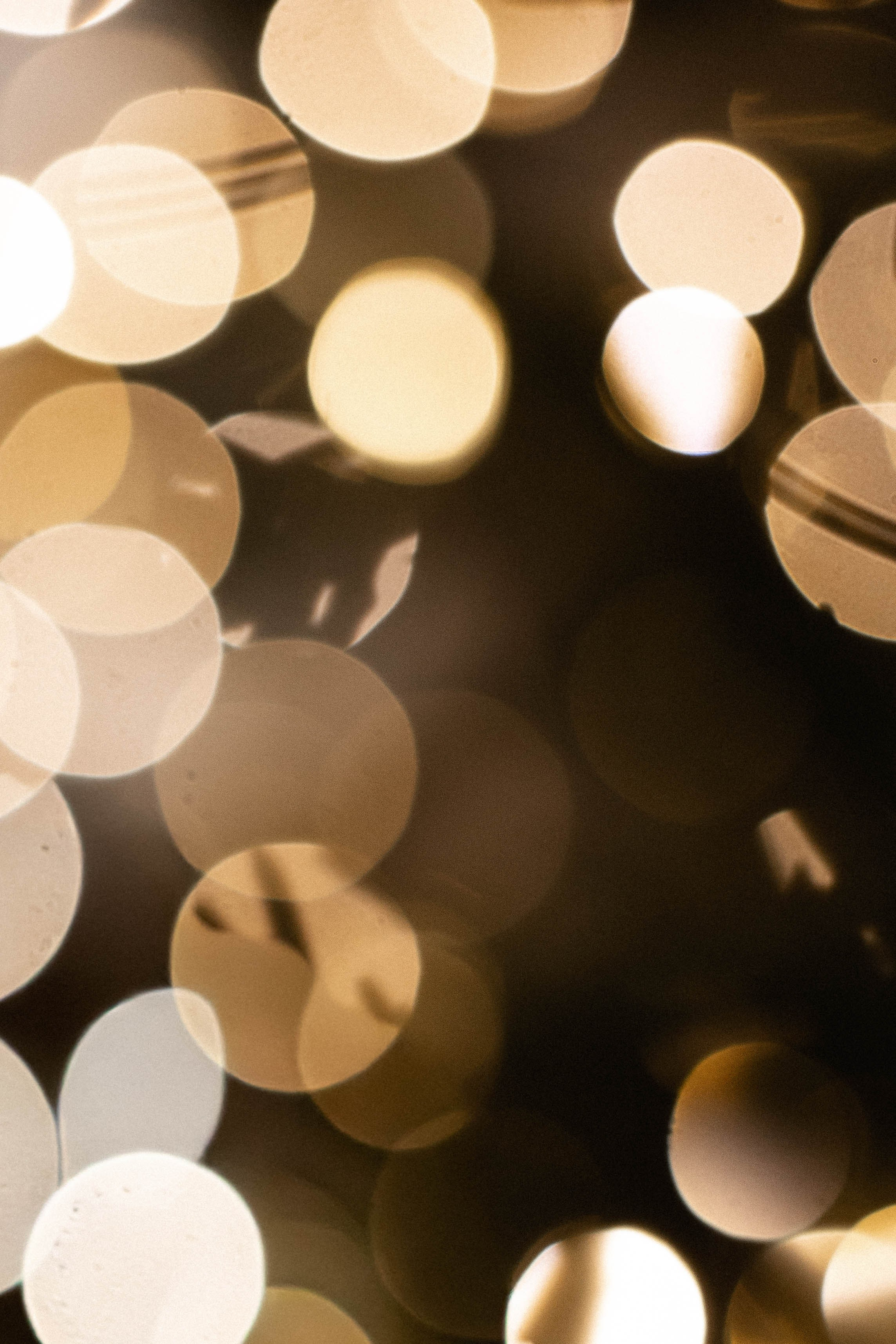 Первый Новый год Димы. Свадебный и портретный фотограф Соломко Диана