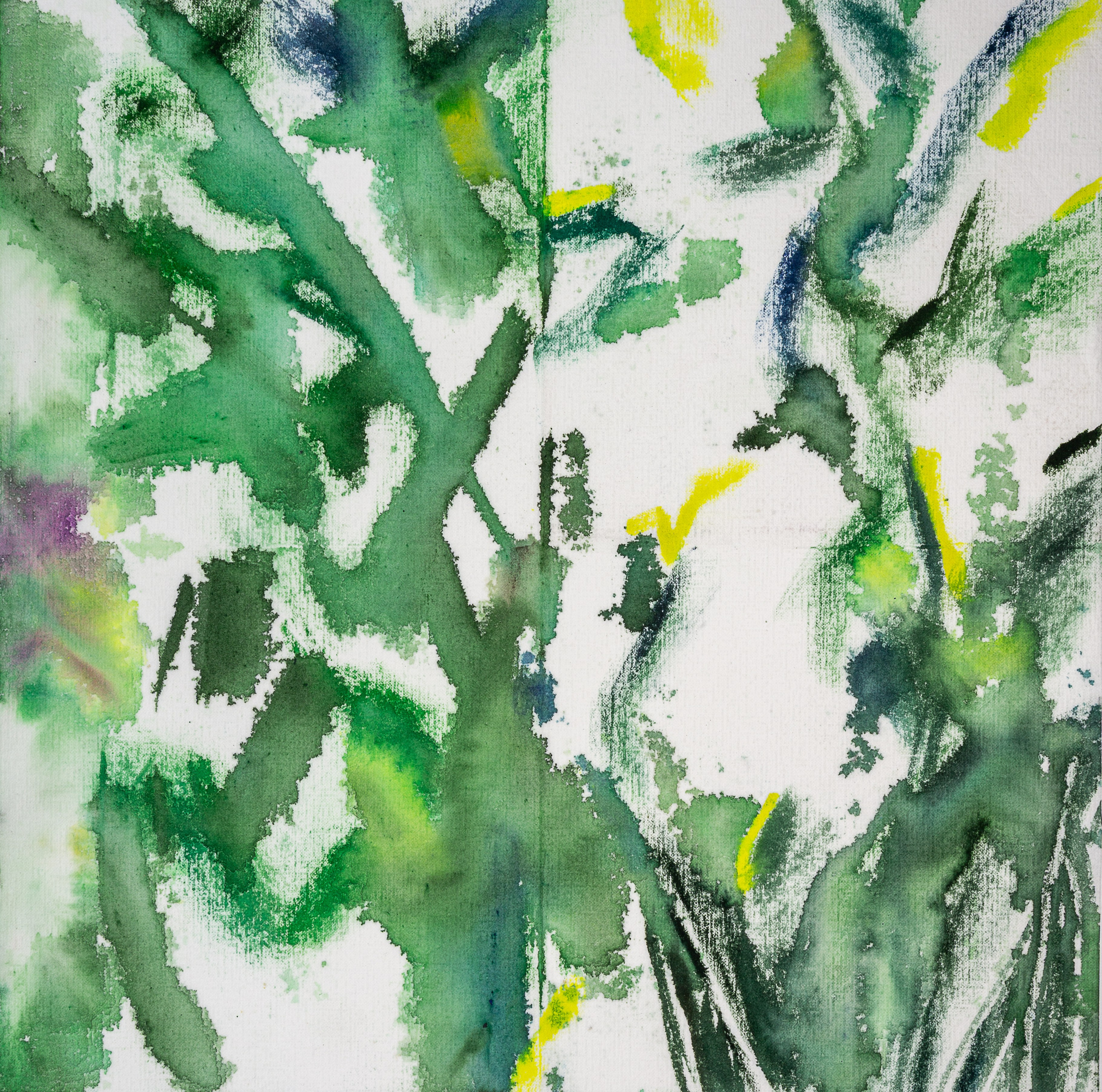 Аня Ким — Дикий сад