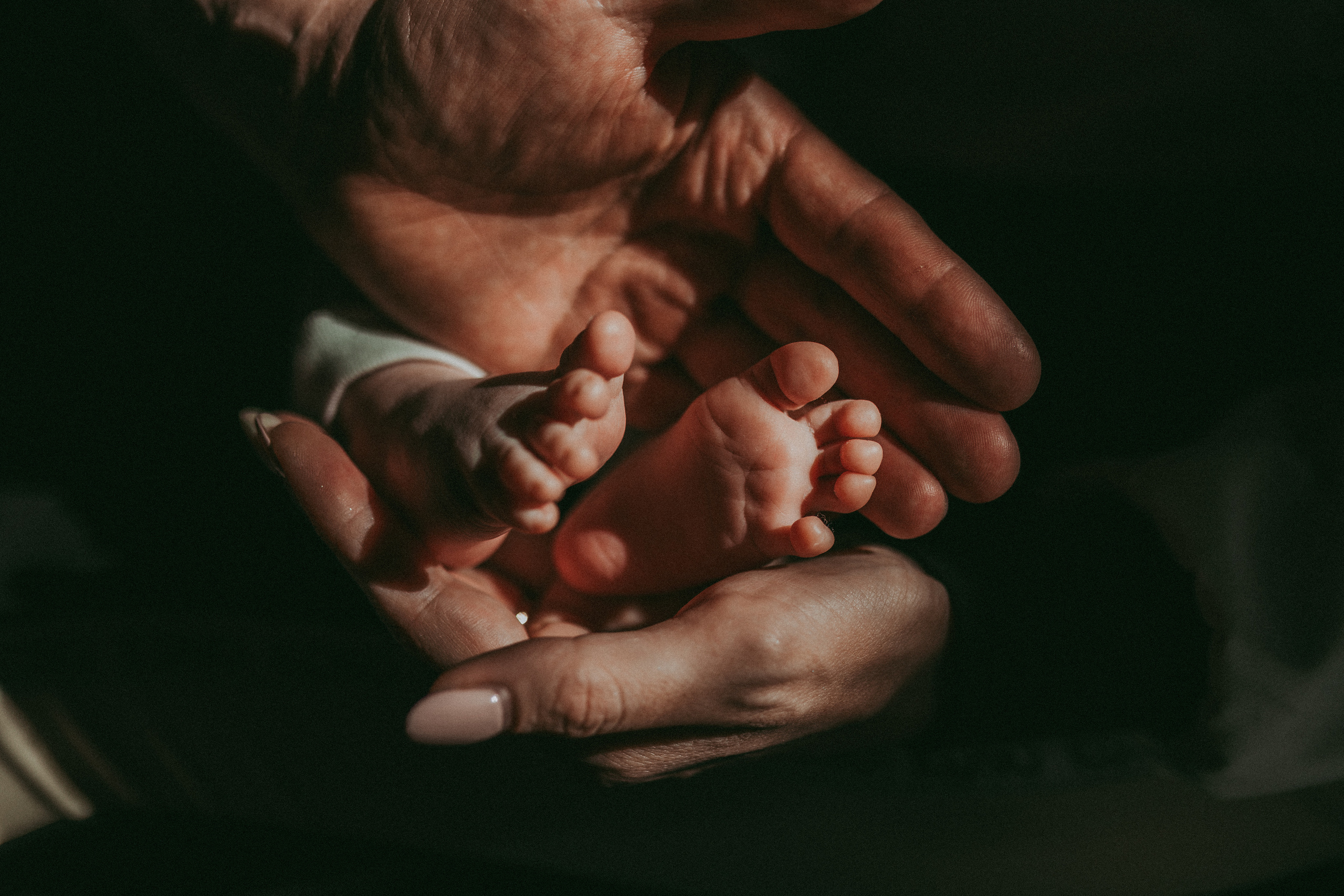 Семейный фотограф Елена Клименко (Sunlight)