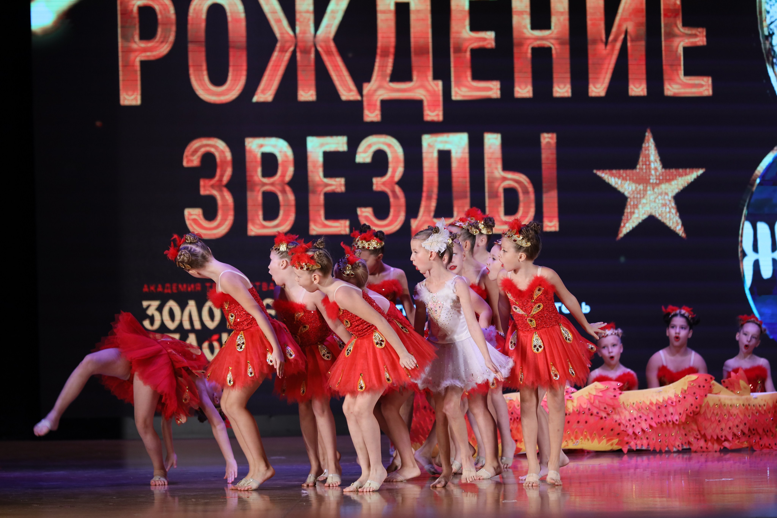 4 ноября, блок 1, видео, номера 14-29, г. Краснодар. Золотое яблочко