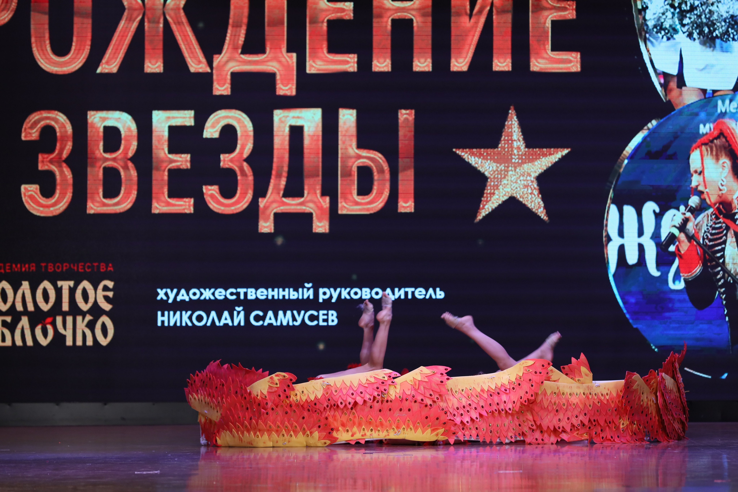 4 ноября, блок 1, видео, номера 14-29, г. Краснодар. Золотое яблочко