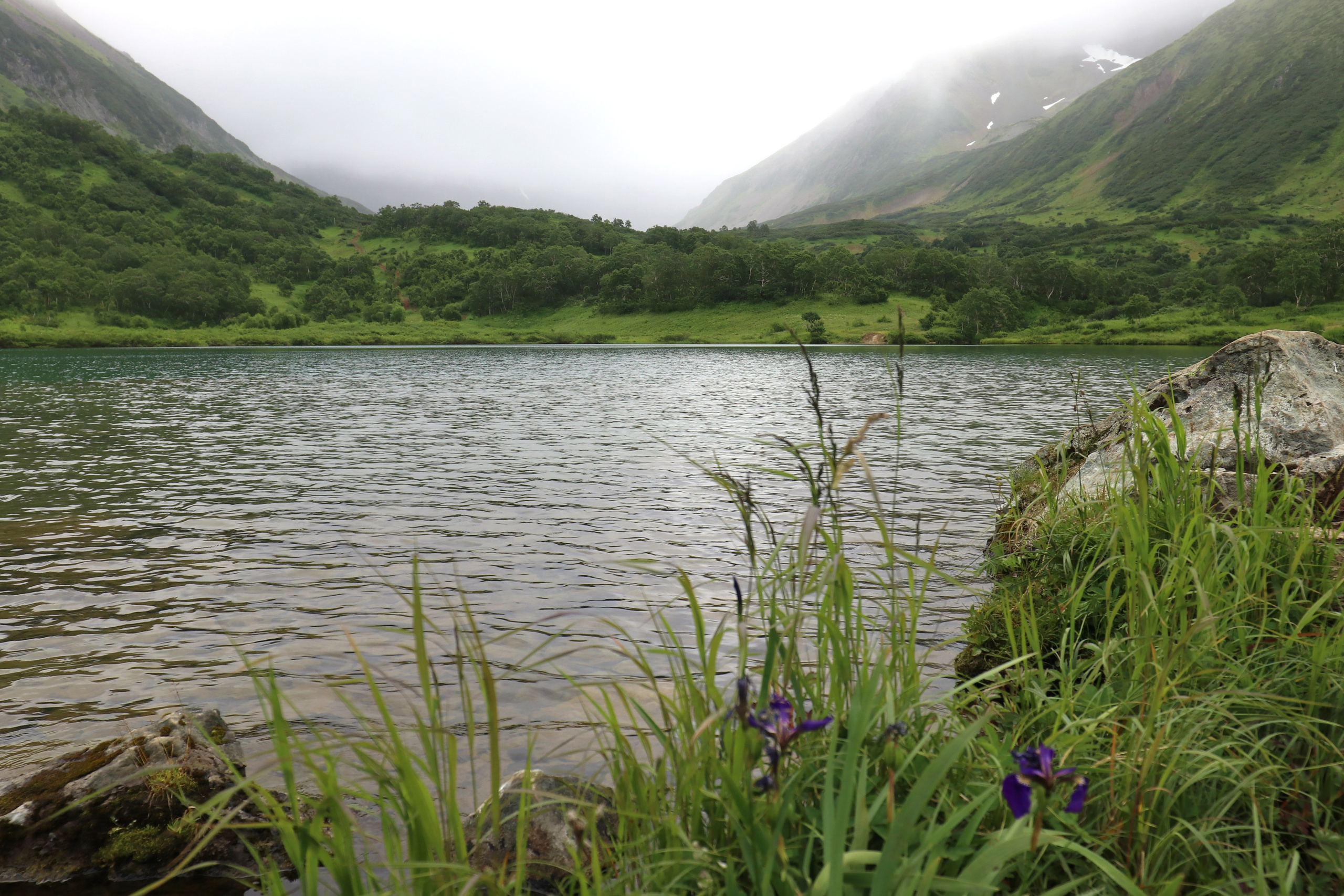 Камчатка и о. Парамушир. Июль 2024. Путешественник-фотограф из Санкт-Петербурга Татьяна Свистулина