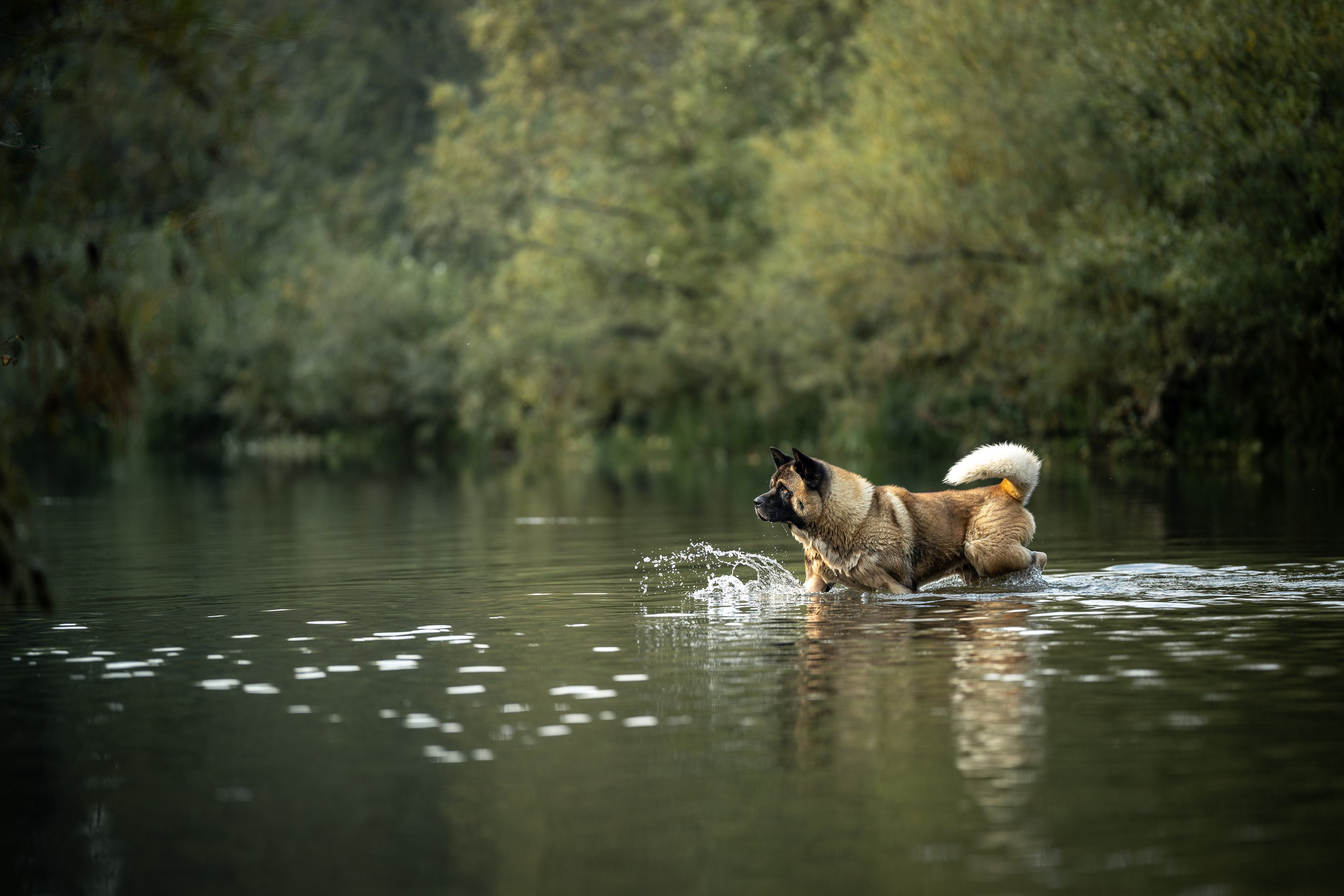 Природные пейзажи. Наталия Клевинскас портретный фотограф в Костроме