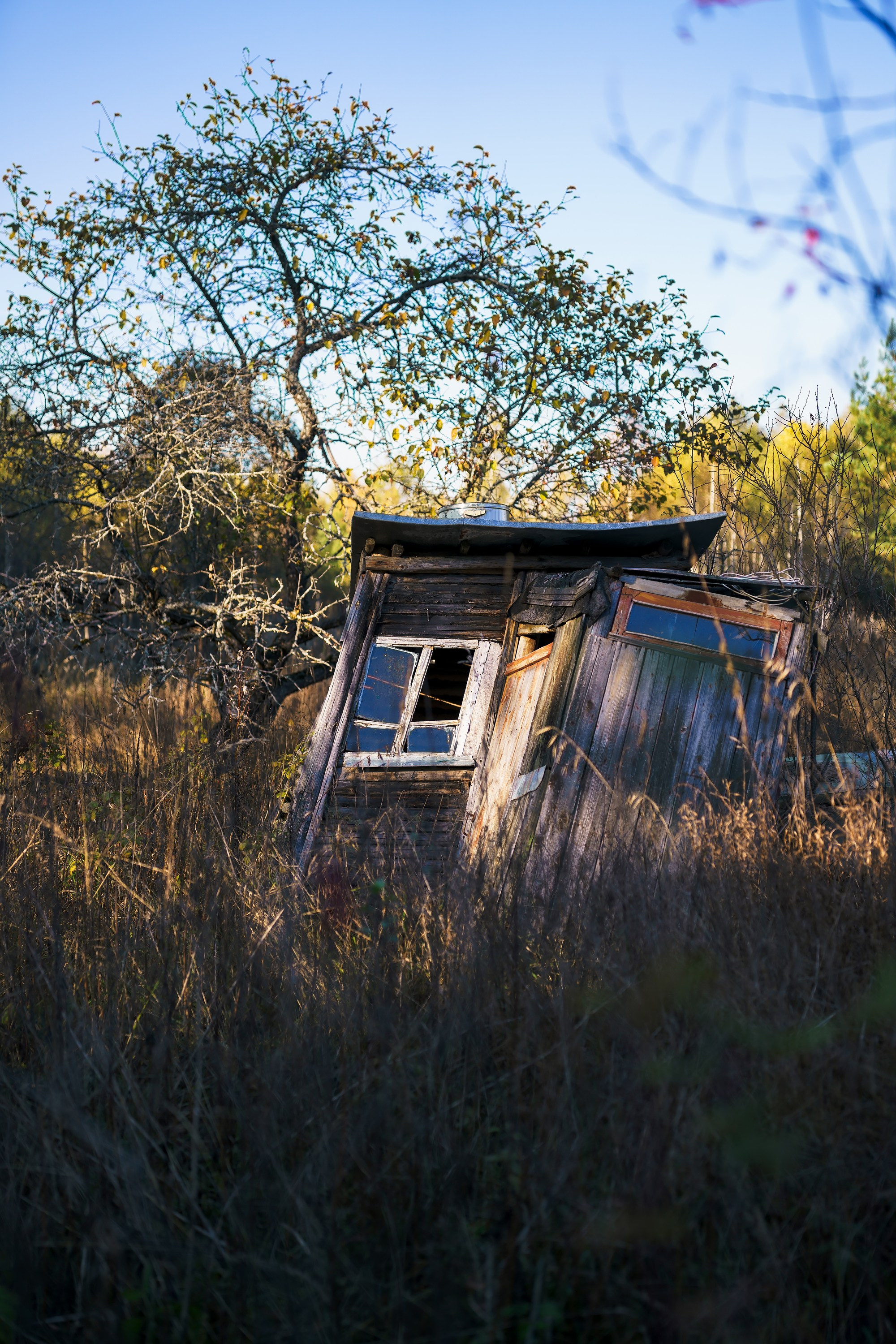 Фотографии Национальный парк Угра. Фотограф спортивные события, недвижимость, турбизнес