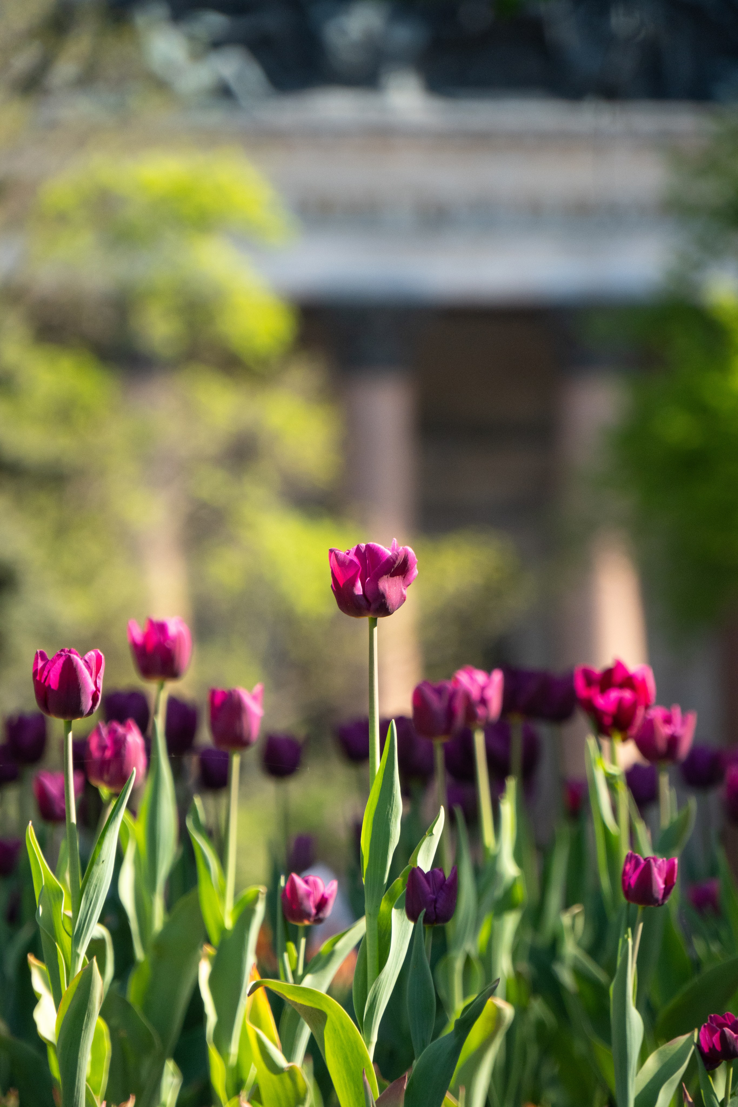 Наталья. Видеограф, фотограф в Санкт-Петербурге Элеонора Петрова
