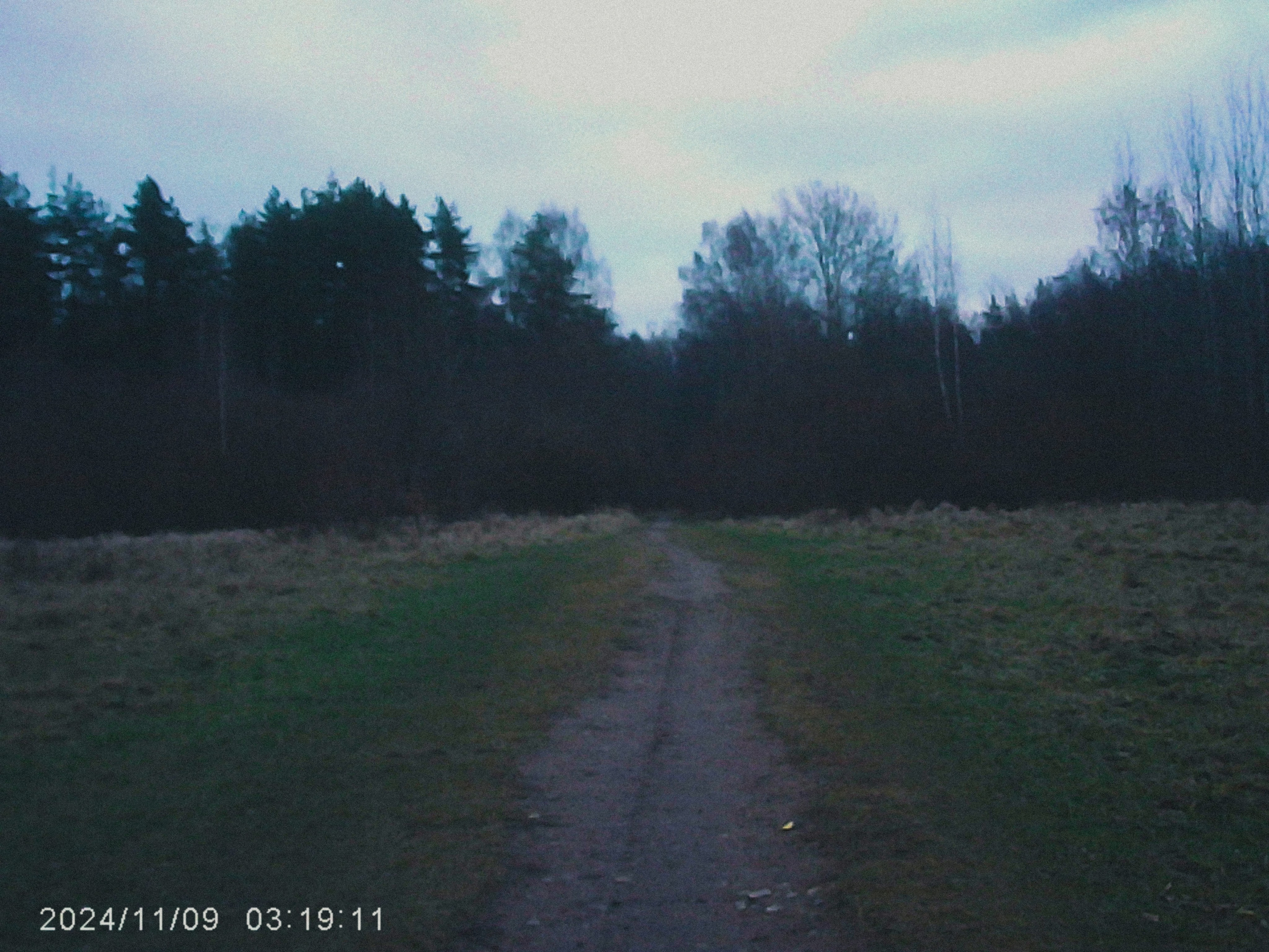 W&o q3. Анна Мильч