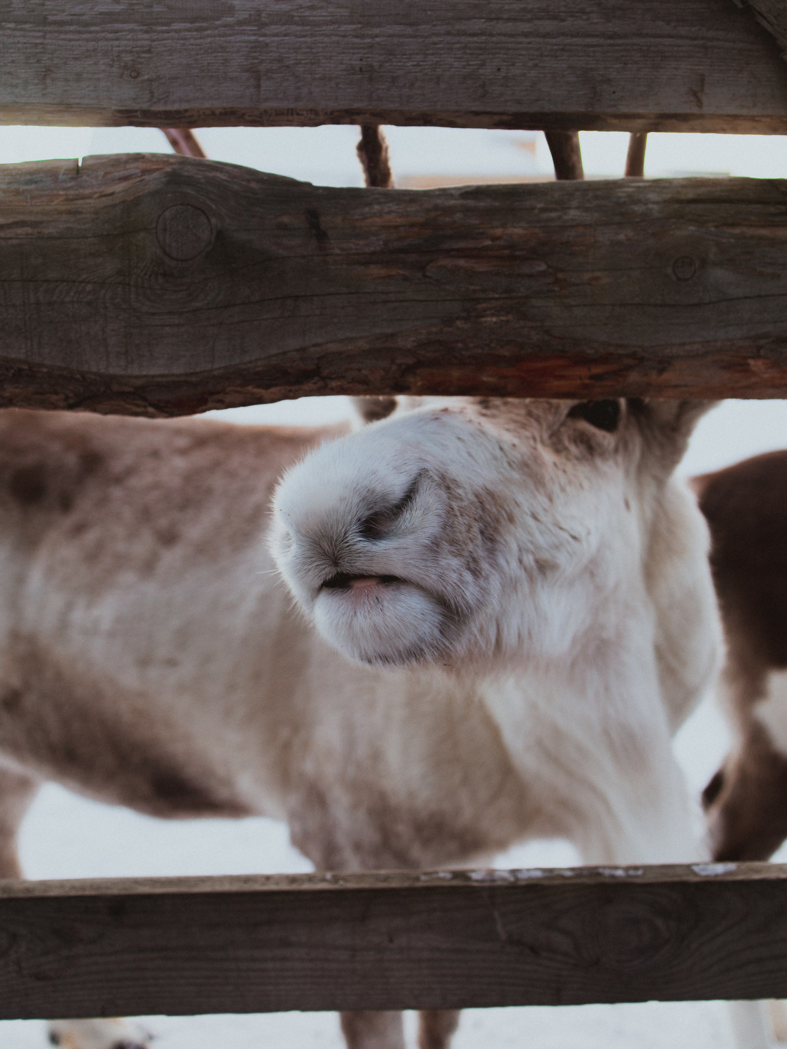 Териберка. Анна Мильч