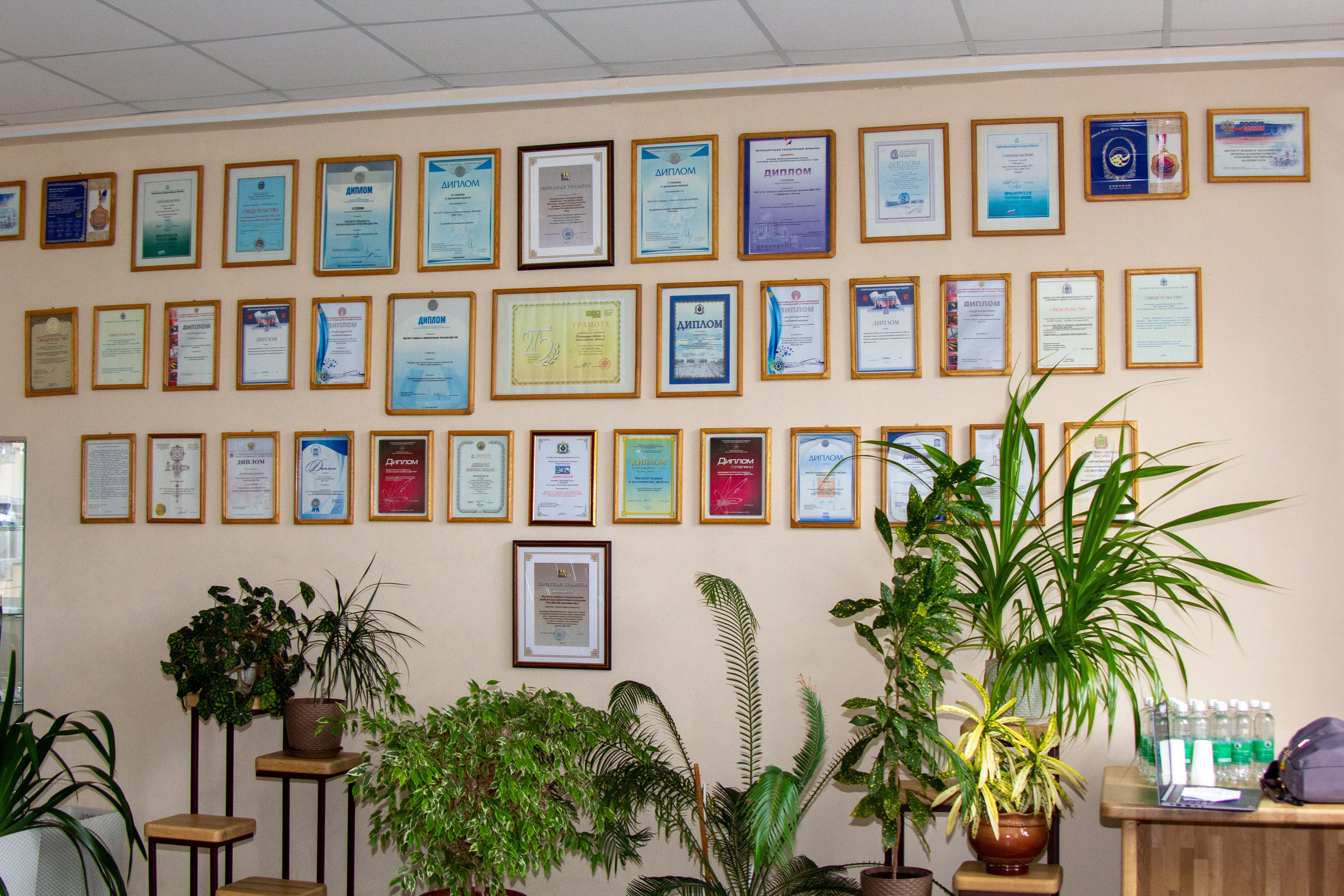 Конференция «Регионы нового освоения. Фотограф в Хабаровске Юлия Чванова