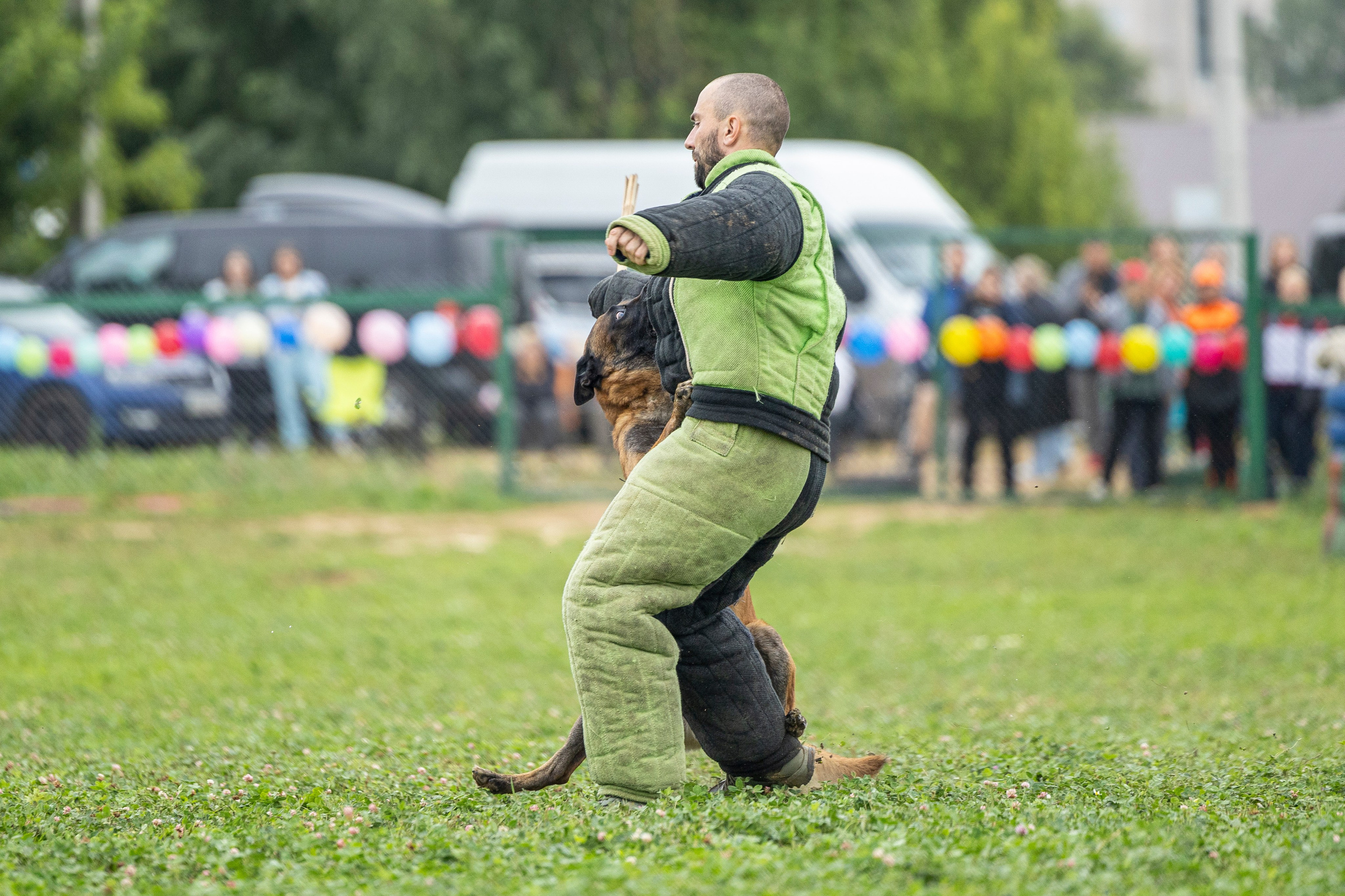 Соревнования по Мондьорингу г. Вологда 10-11.08.2024. Фотограф-анималист Анна Маринич