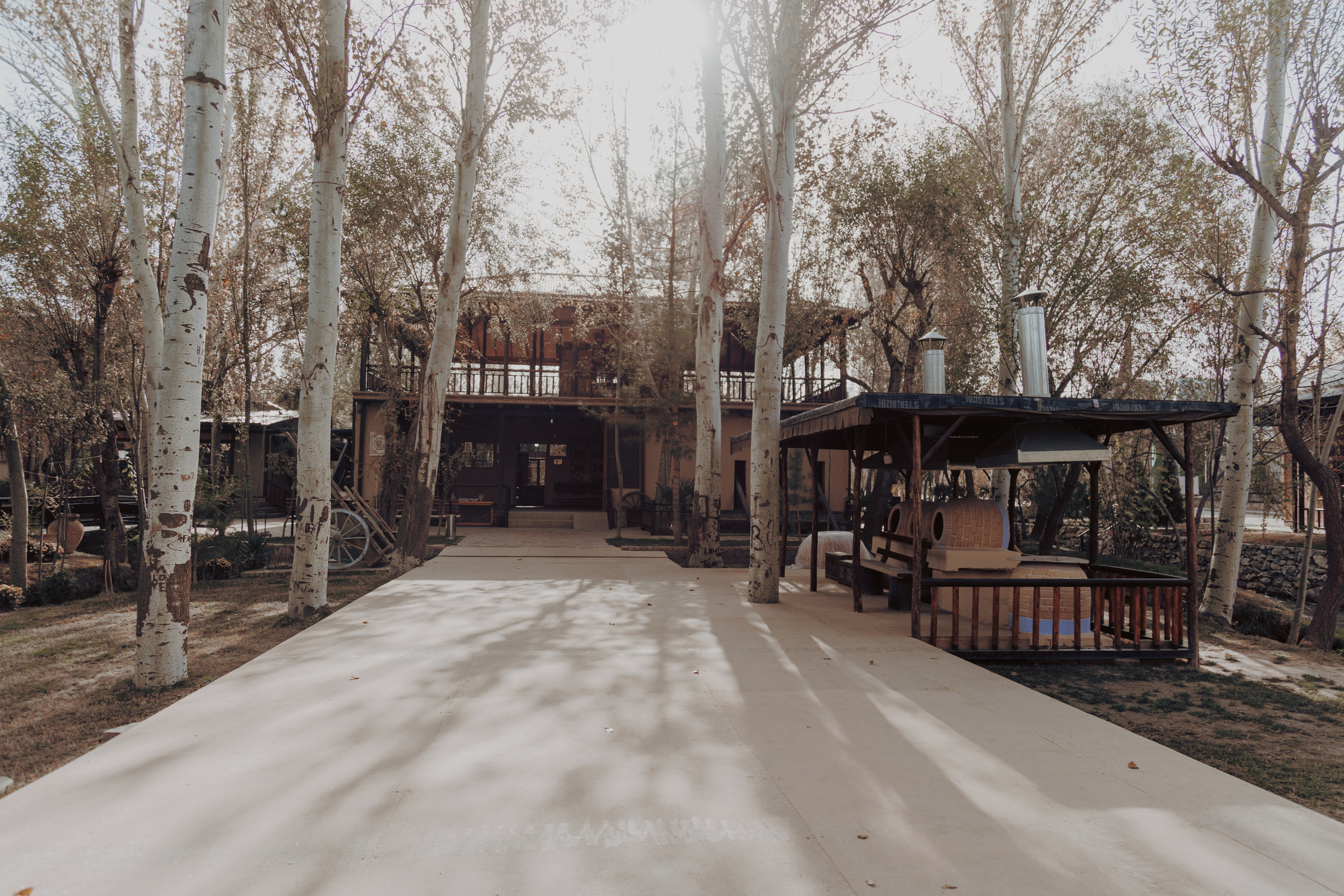 Узбекистан. Креатор Ольга Яш