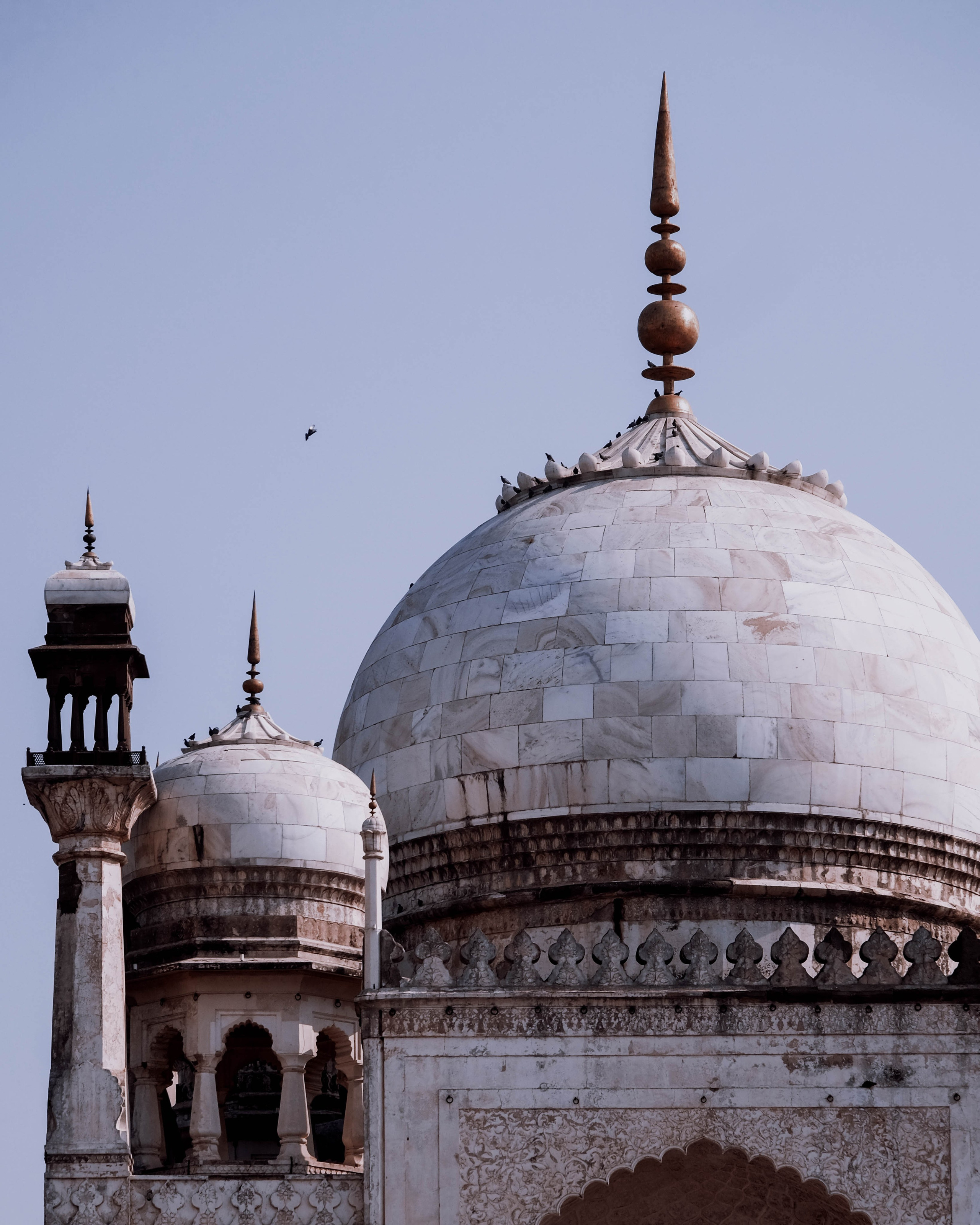 INDIA. Фотограф Дмитрий Олрайт | Калуга, Россия