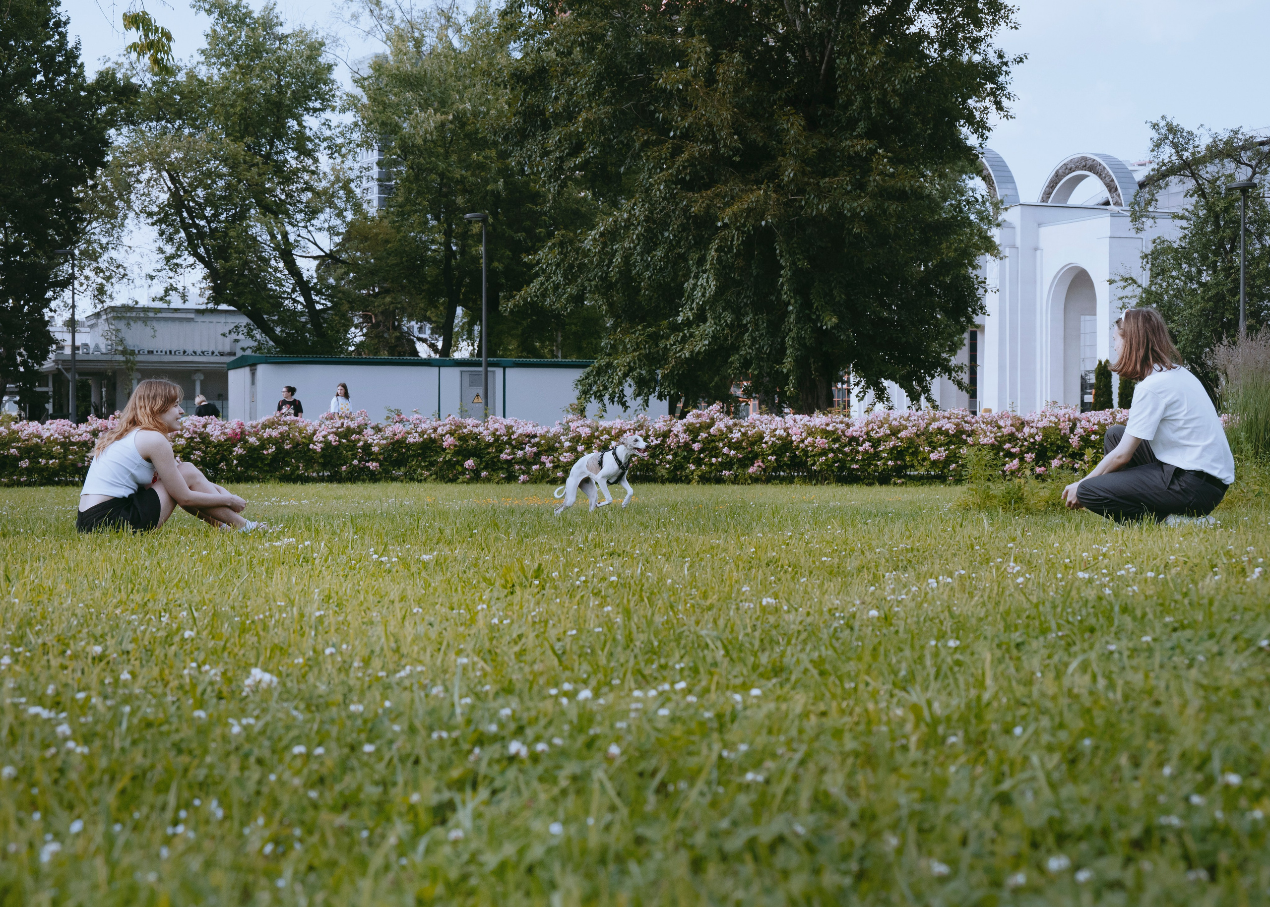 Ветка. Фотограф- анималист Александра Матвеева