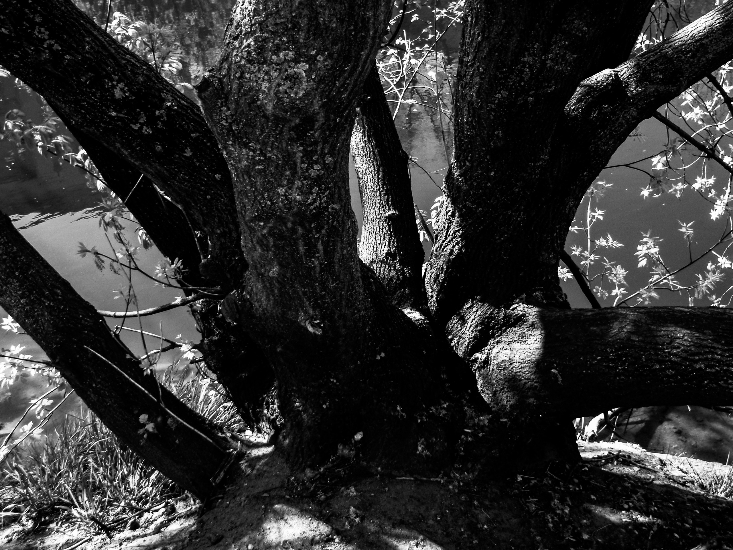 Olimpus mju 1030sw. Анна Мильч