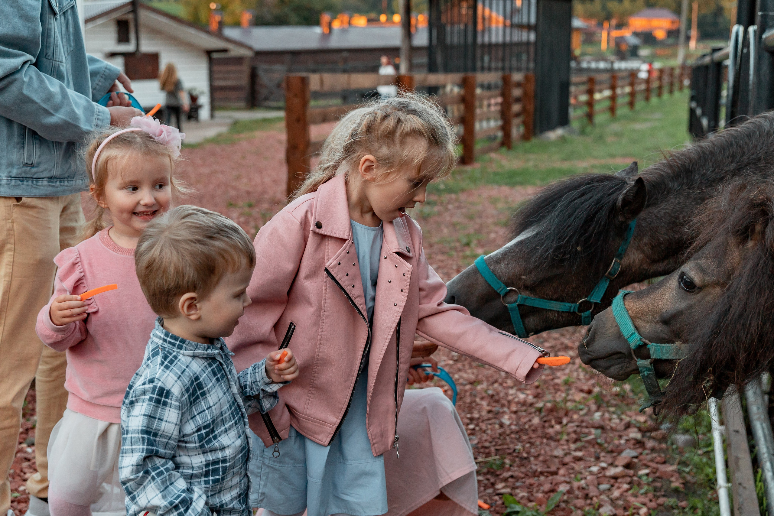 Прогулка на ранчо. Детский и семейный фотограф в Красноярске Юлия Бирюкова