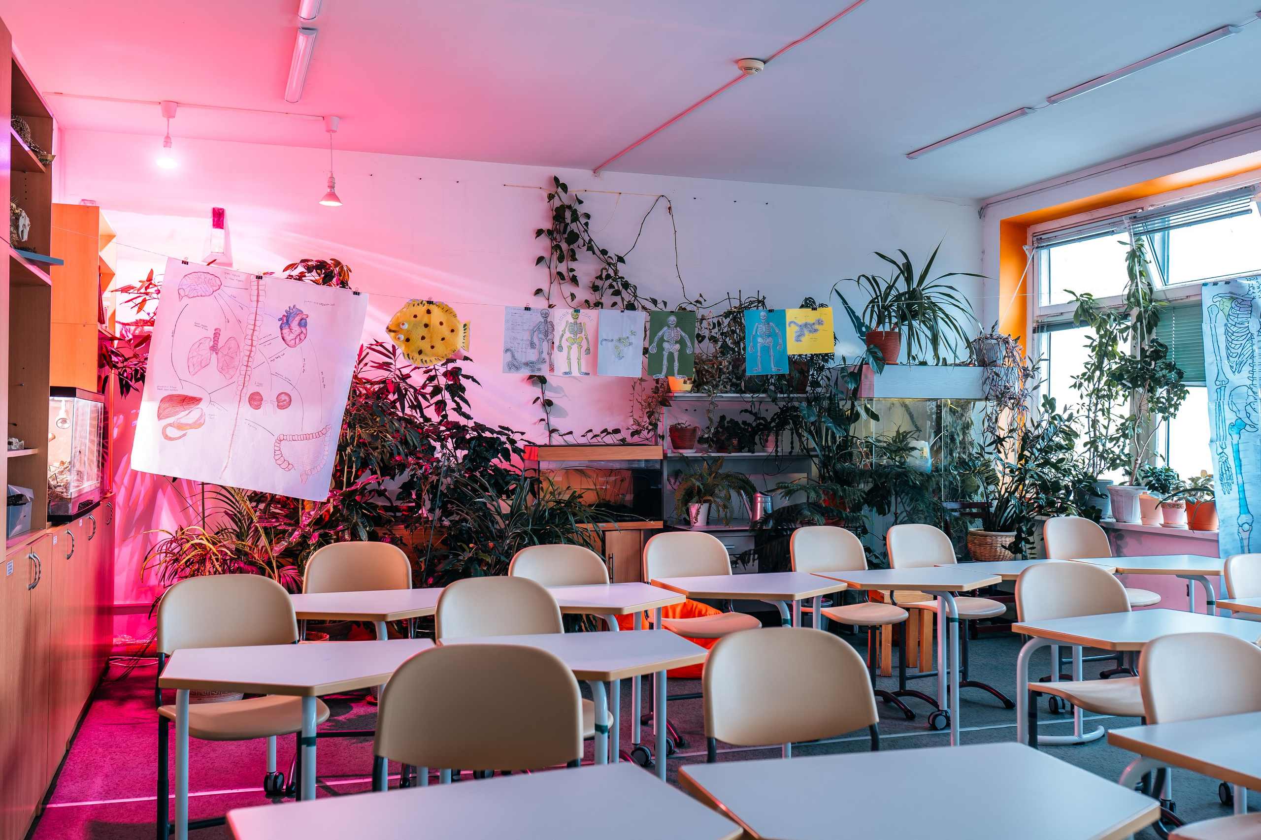 Европейская гимназия. @tomrus: Рустам Шагиморданов — фотограф