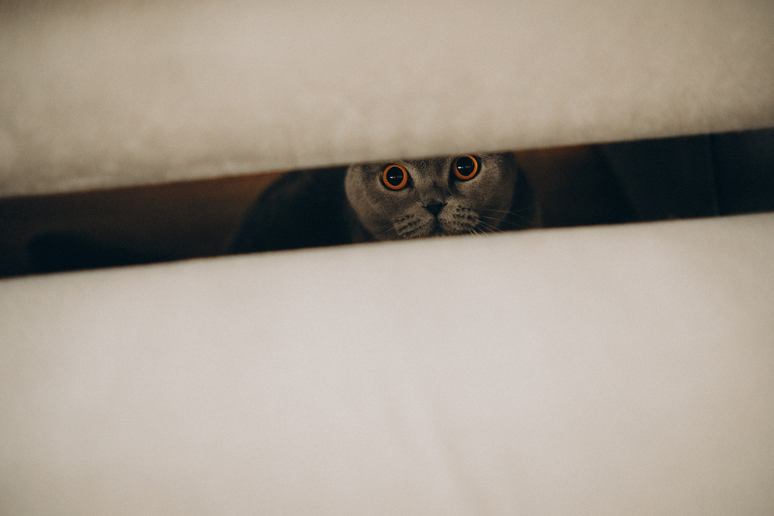 Дана&Вася&Ника. Phdkvmr.ru