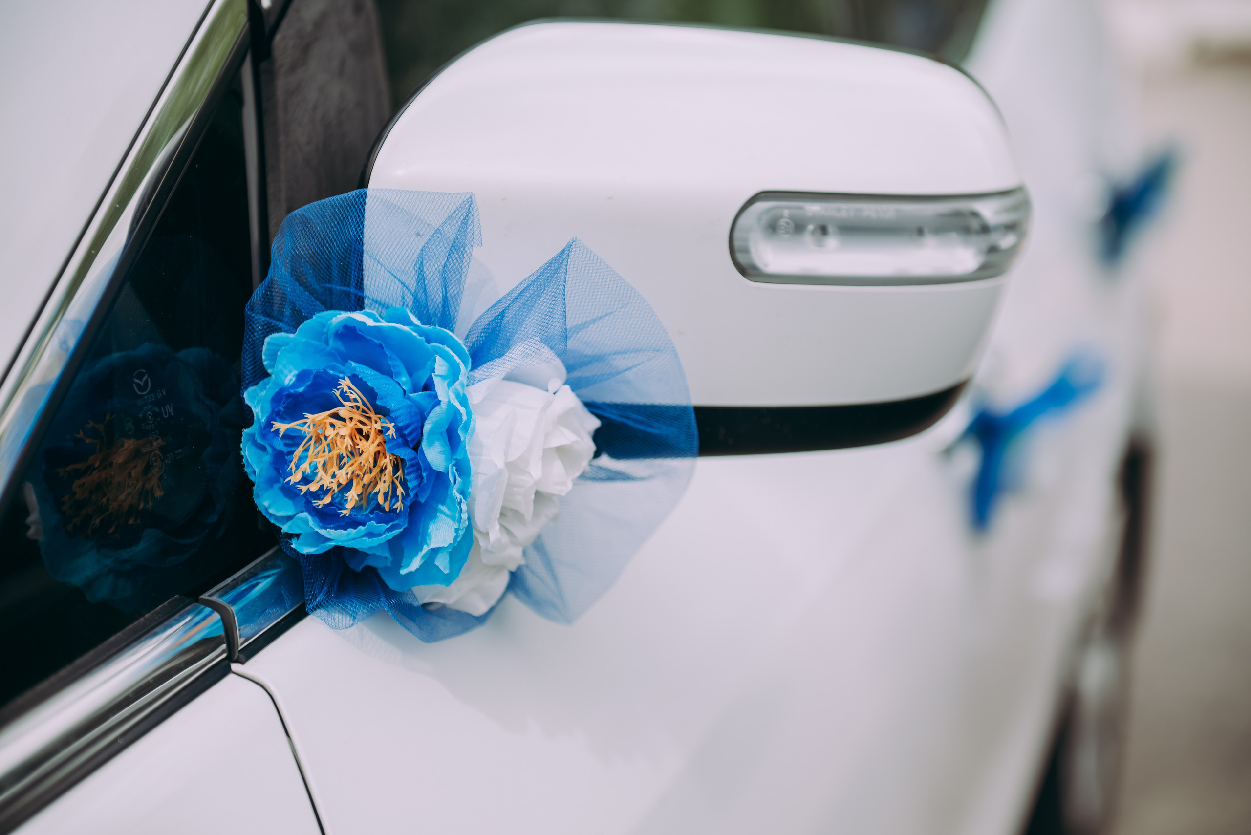 Свадебная фотосессия в центральном загсе в г. Кемерово