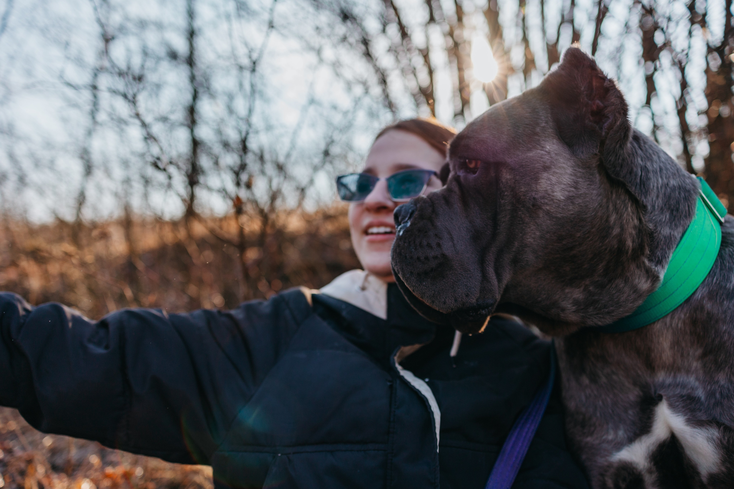 Лера, Ума и Винни. Фотограф — анималист Светлана Кысса|фотограф собак в Краснодаре и Нижнем Новгороде