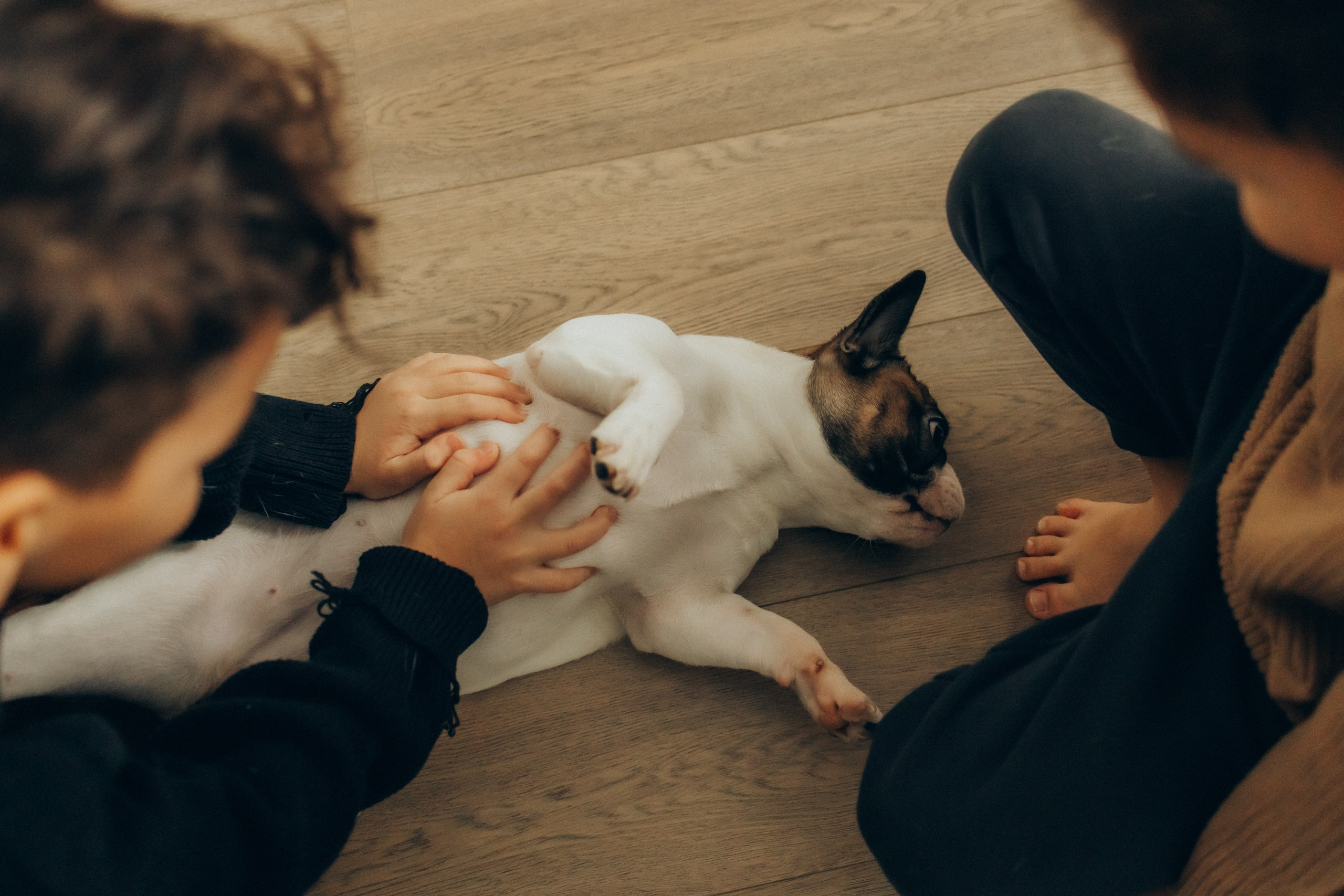Руслан, Тимур и Луна. Семейный фотограф Москва