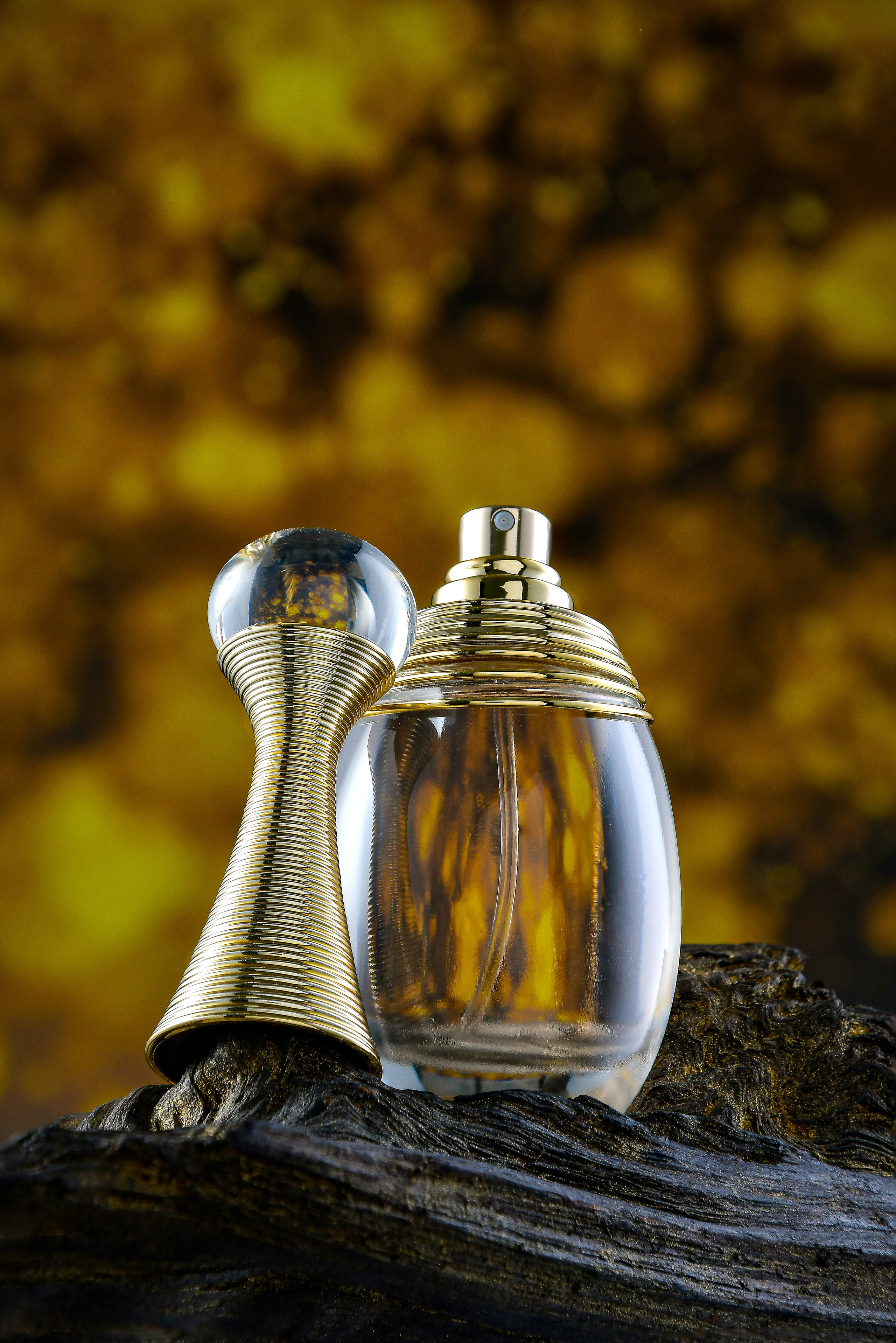 Парфюмерная вода J'adore DIOR