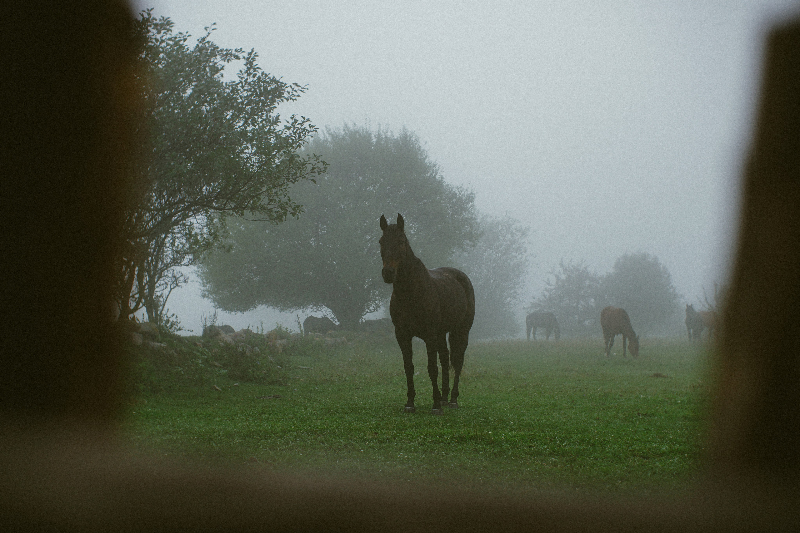 Блог про Верхнюю Балкарию. NECULTURED PHOTOGRAPHER