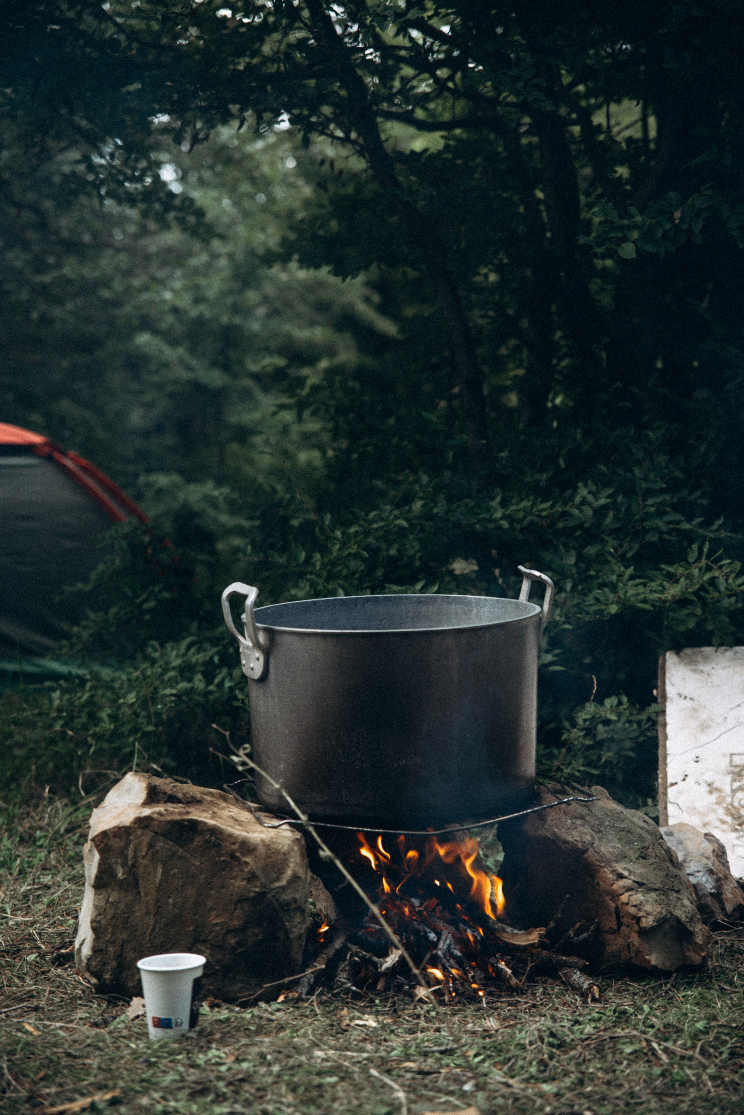 Harmoyfest 2023 Georgia 🇬🇪. Anita_photo