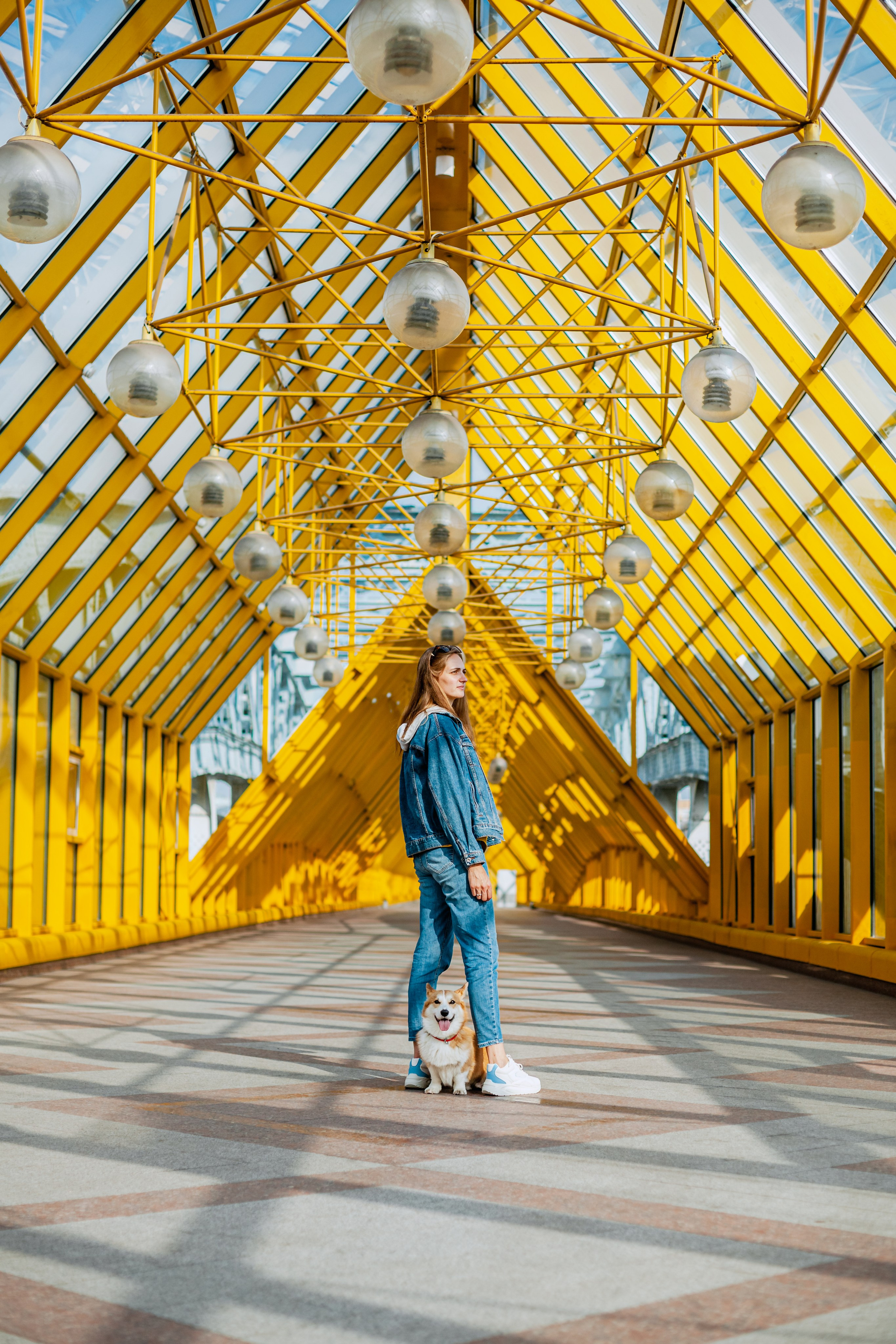 Андреевский мост. Фотограф-анималист Татьяна Степанова