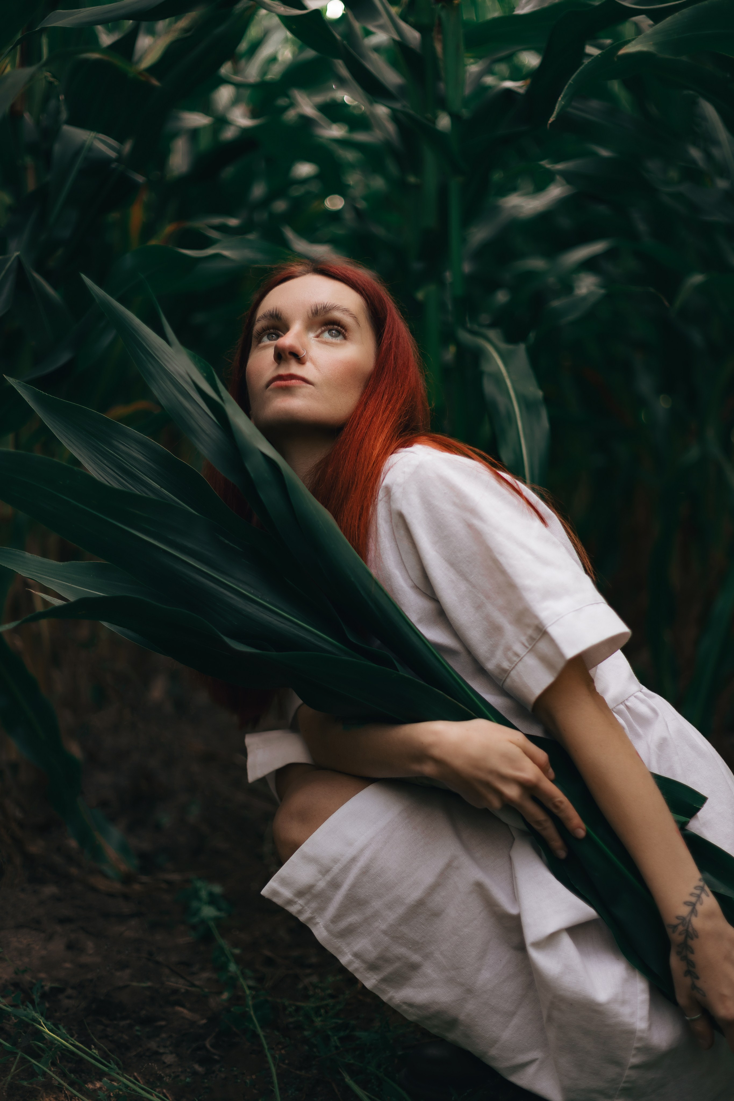 Девушка на кукурузном поле. Фотограф в Санкт-Петербурге и Москве Наталья Милли