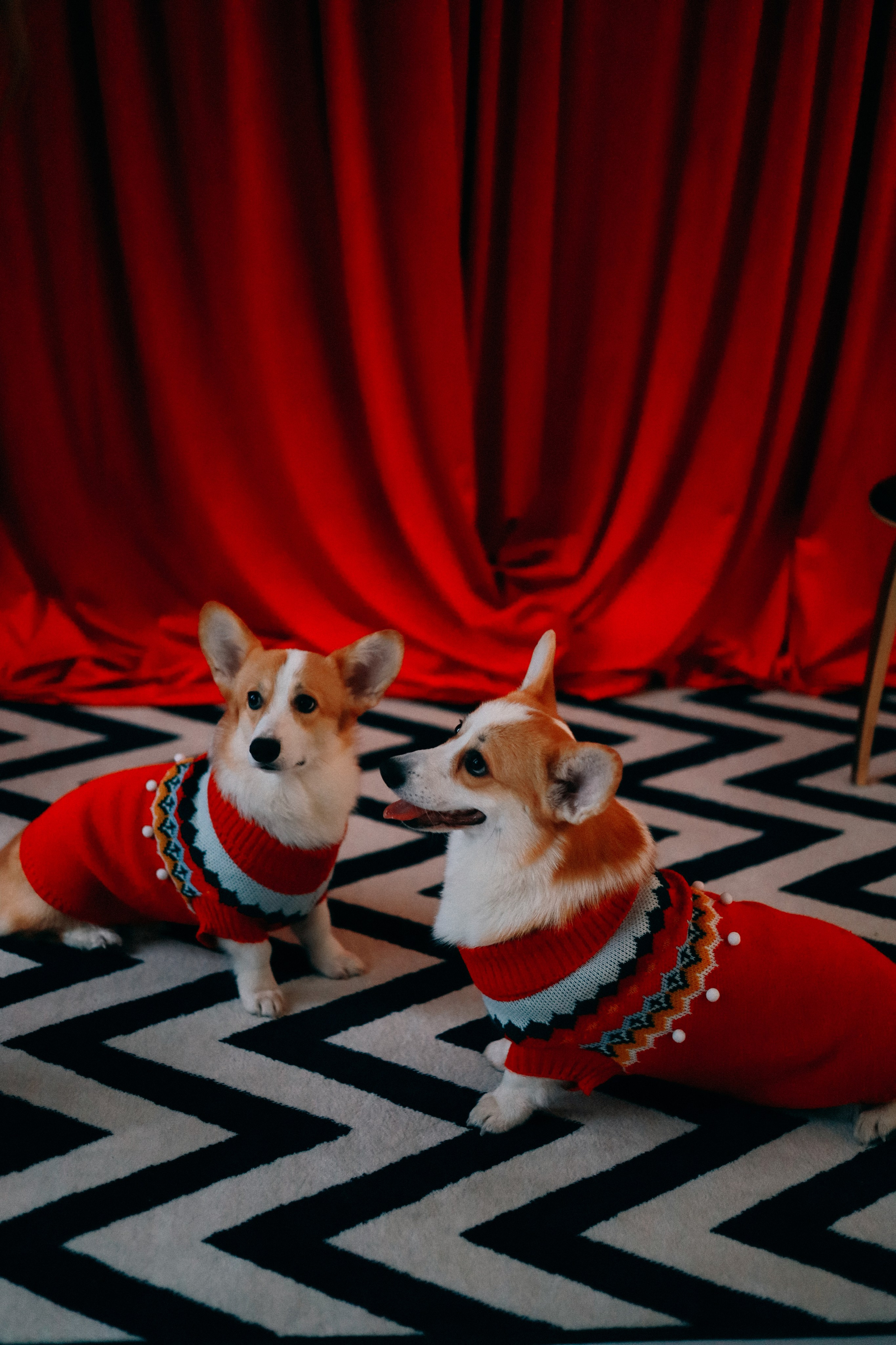 Оля, Антон и сыновья. Фотограф София Комкина