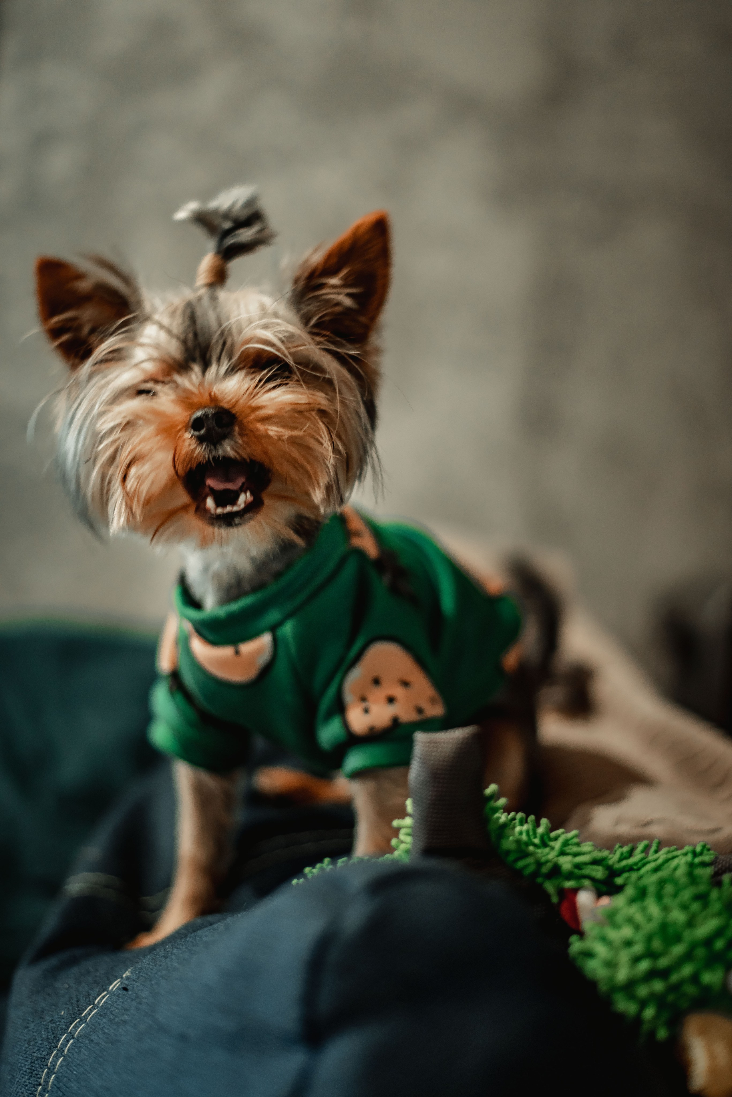 Домашняя lifestyle съемка. Свадебный и портретный фотограф lifestyle