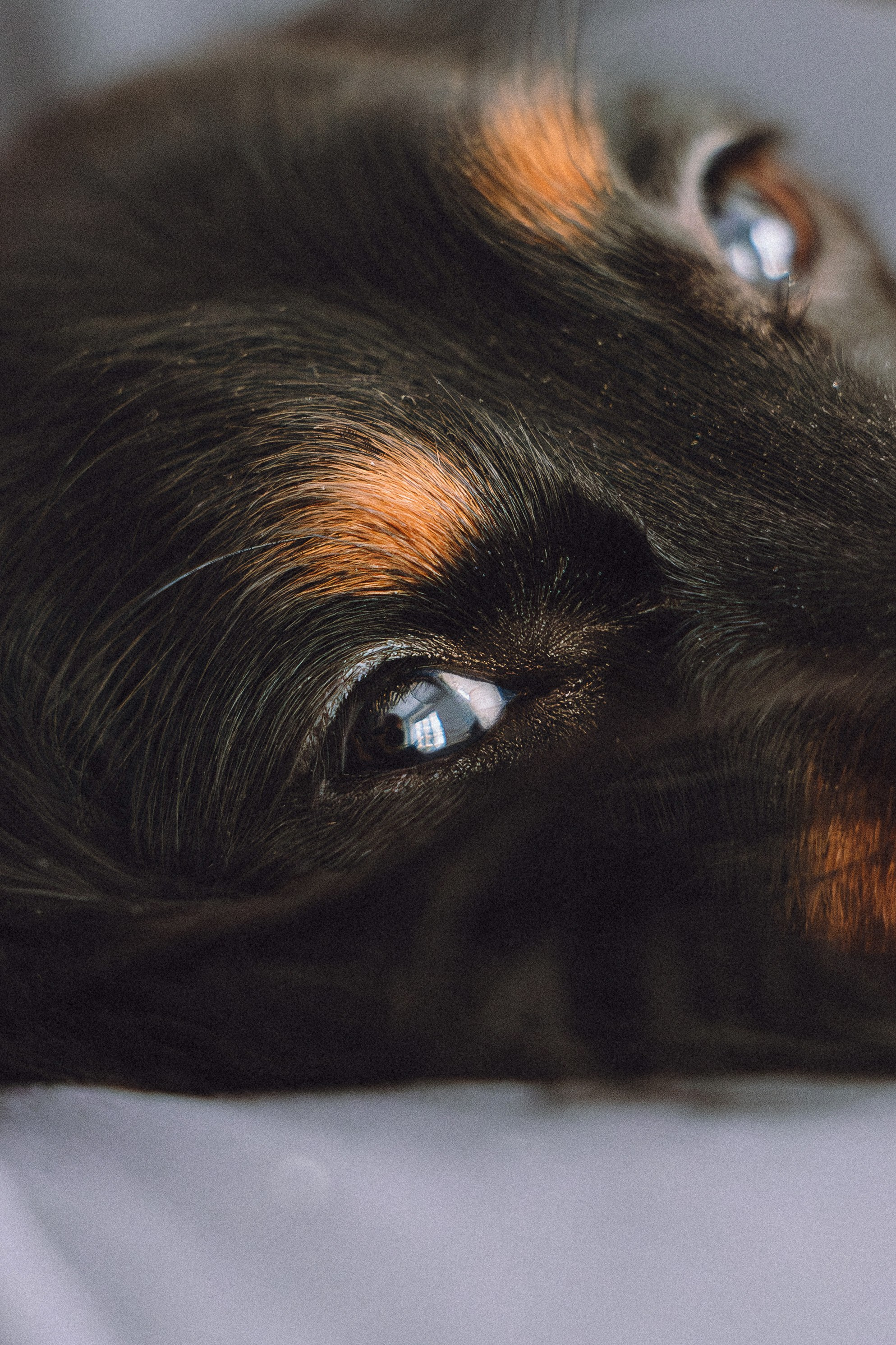 Натали, Свят и Эни