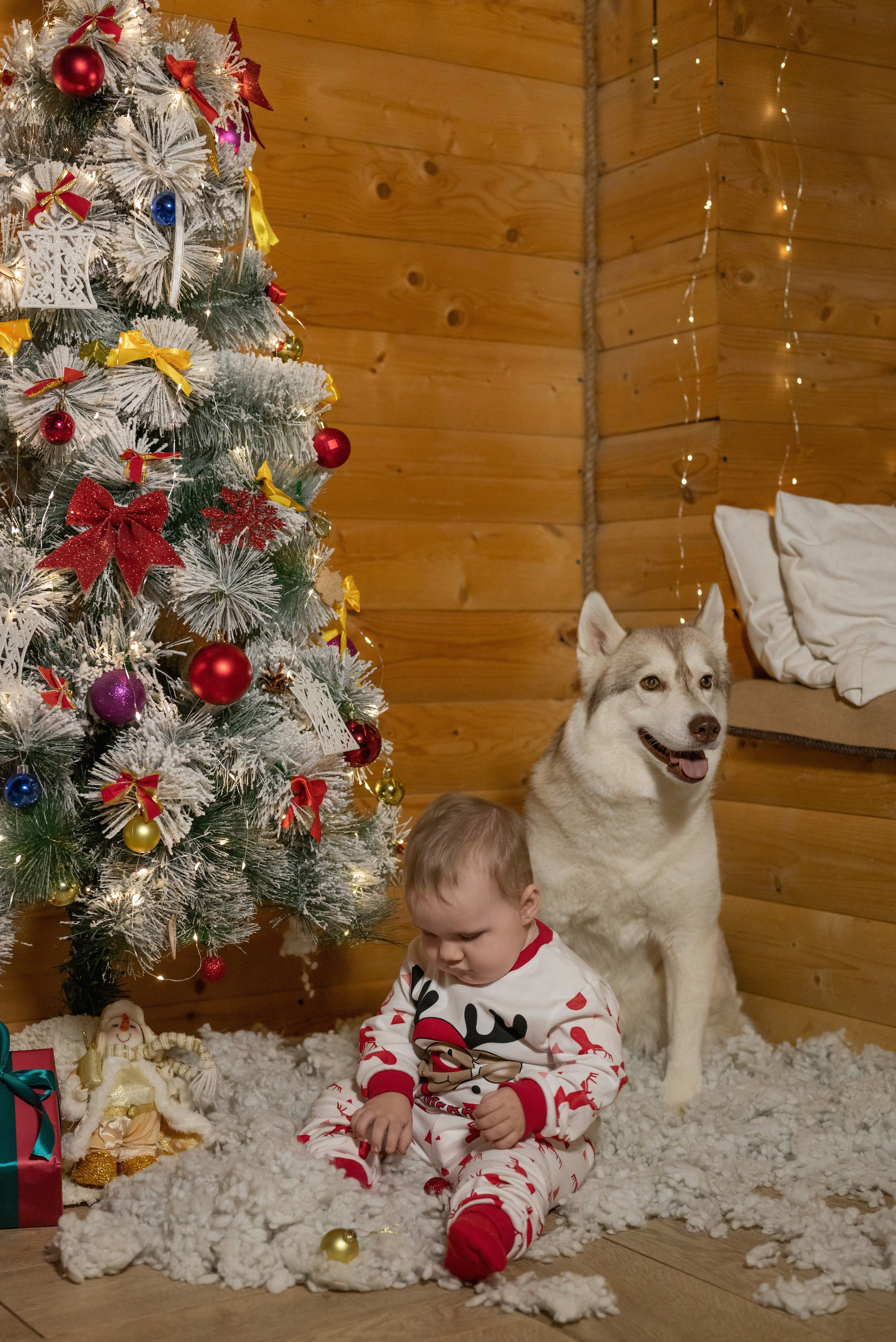 Фотопроект с хаски 2025 г. Фотограф в городе Салават