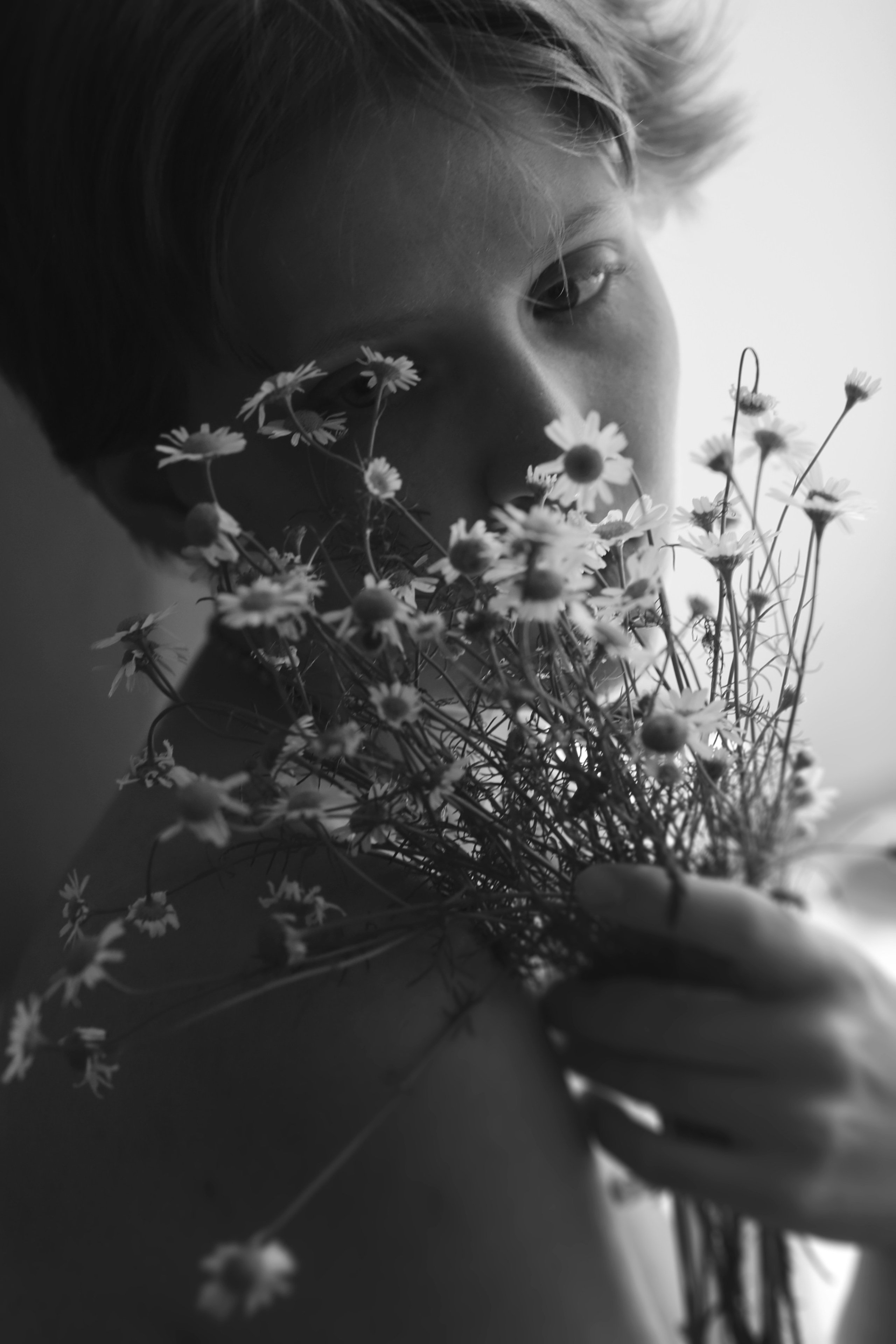 Ромашки. Свадебный и репортажный фотограф в Ярославле и Санкт-Петербурге Роман Микрюков