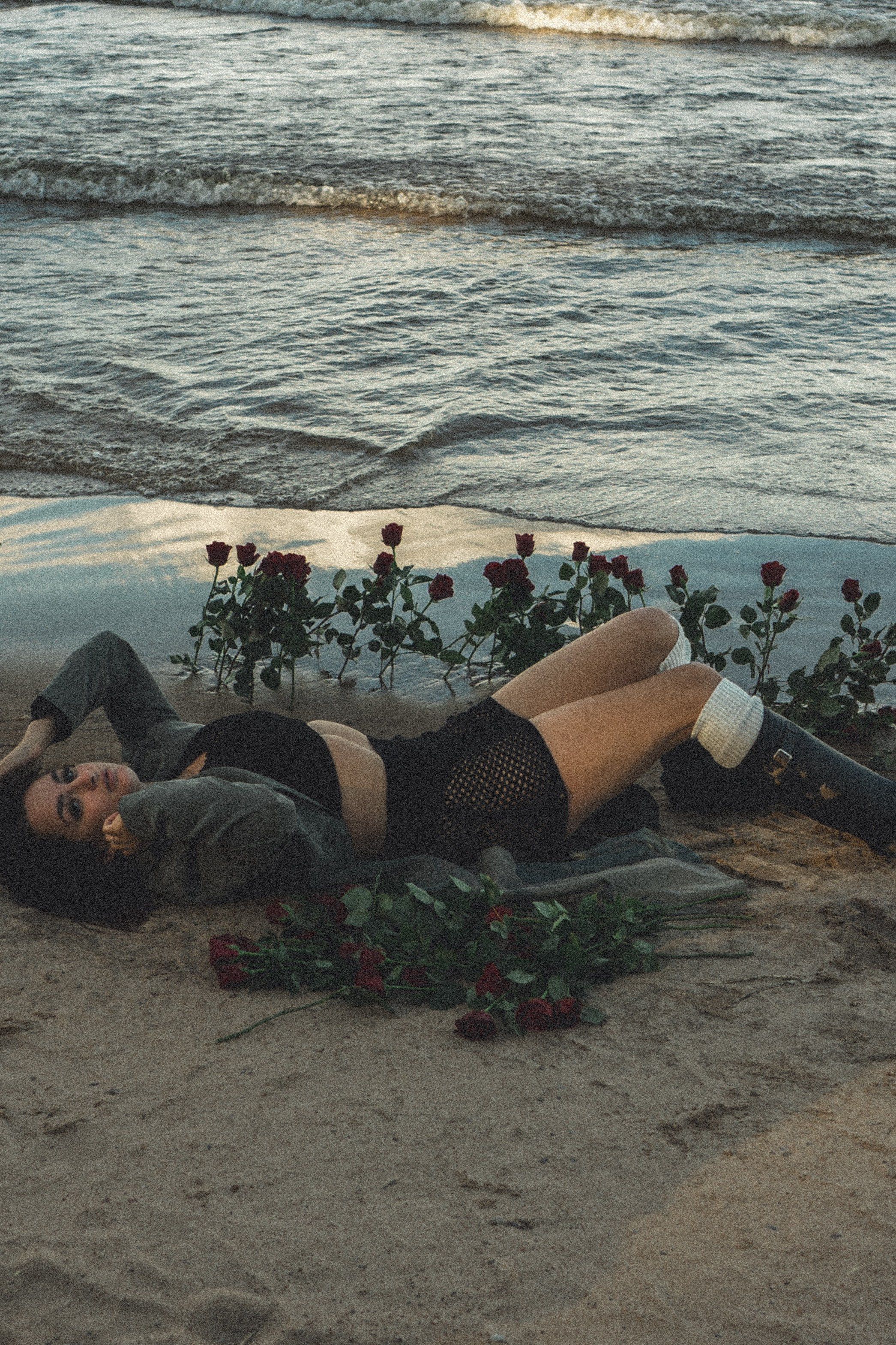 Розы. Профессиональный фотограф, Санкт-Петербург — Виктория Богомолова