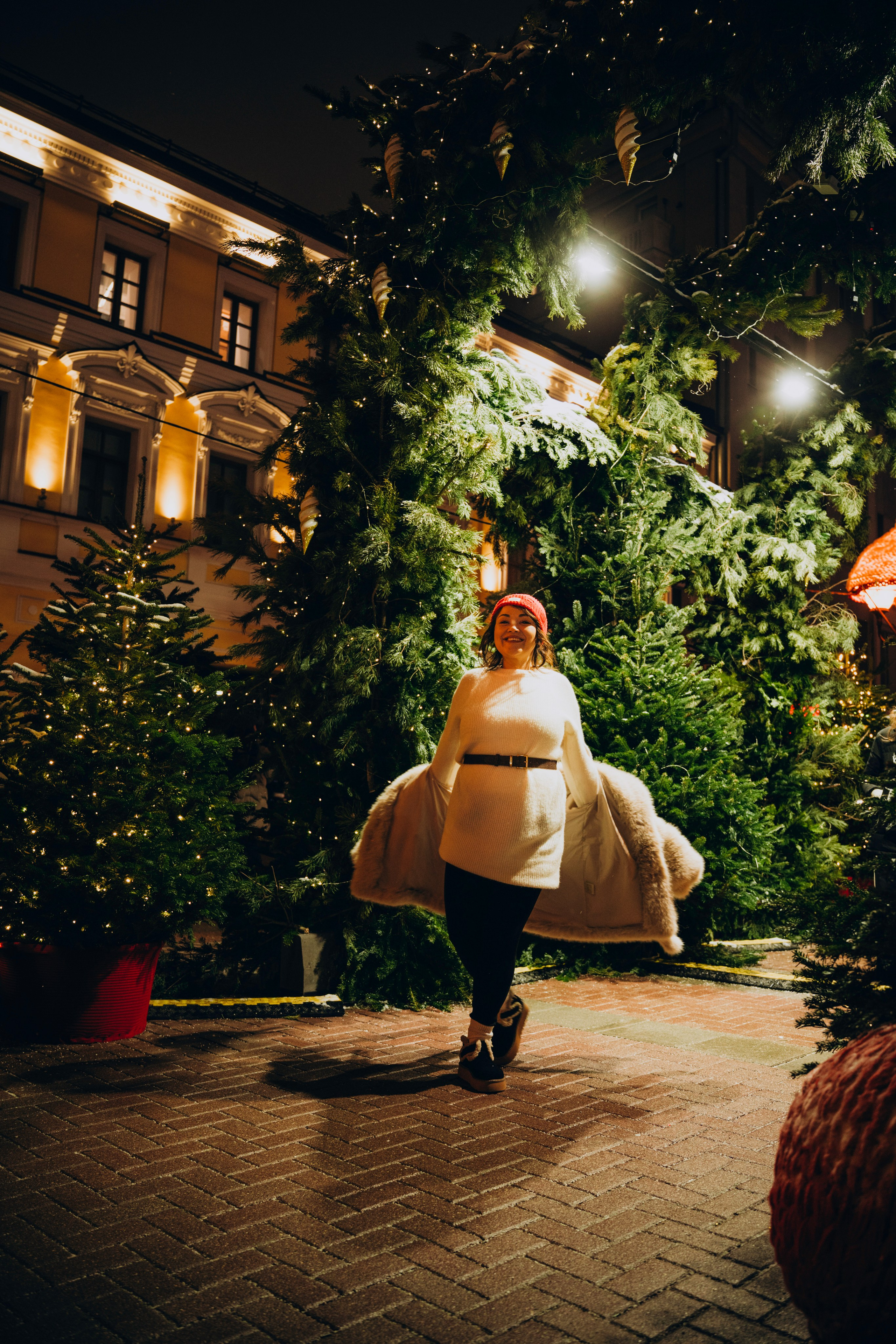 Новогодние прогулки