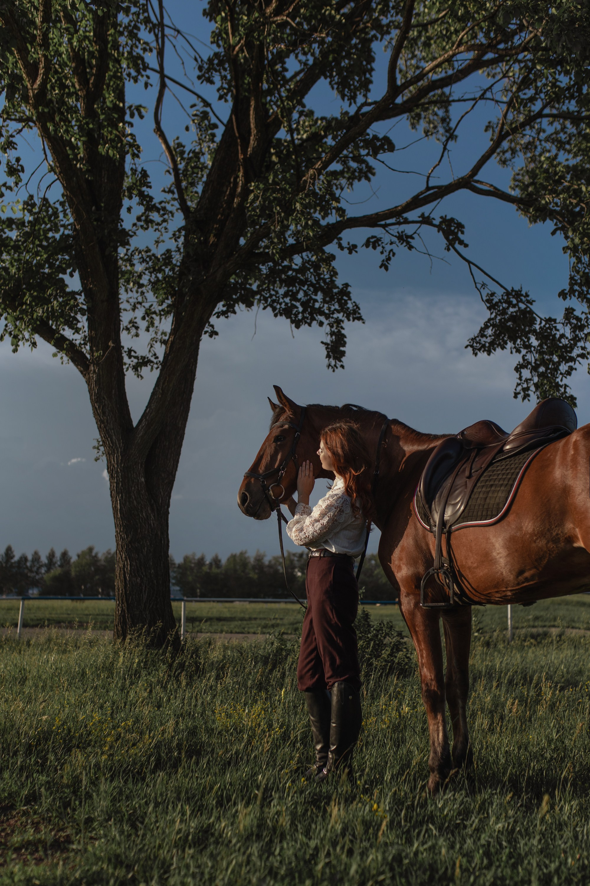 Фотосессии с лошадьми. Главная