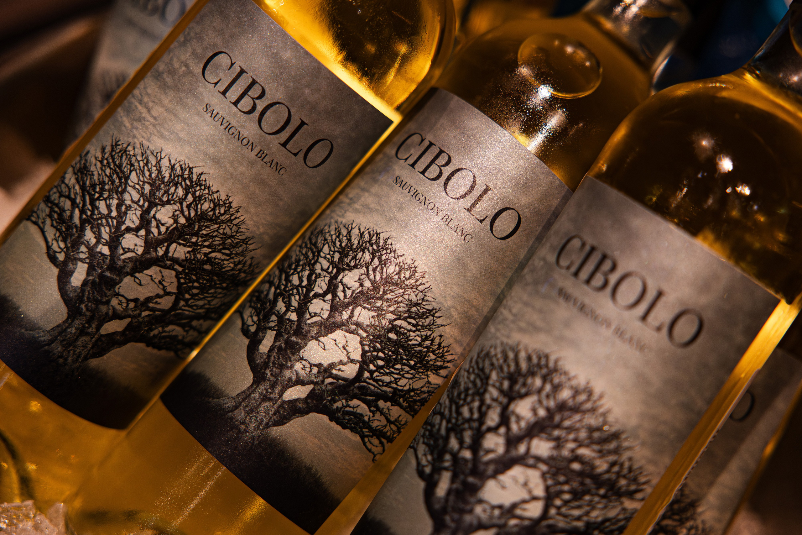 Х5 HR MAX. Свадебный репортажный фотограф в Москве