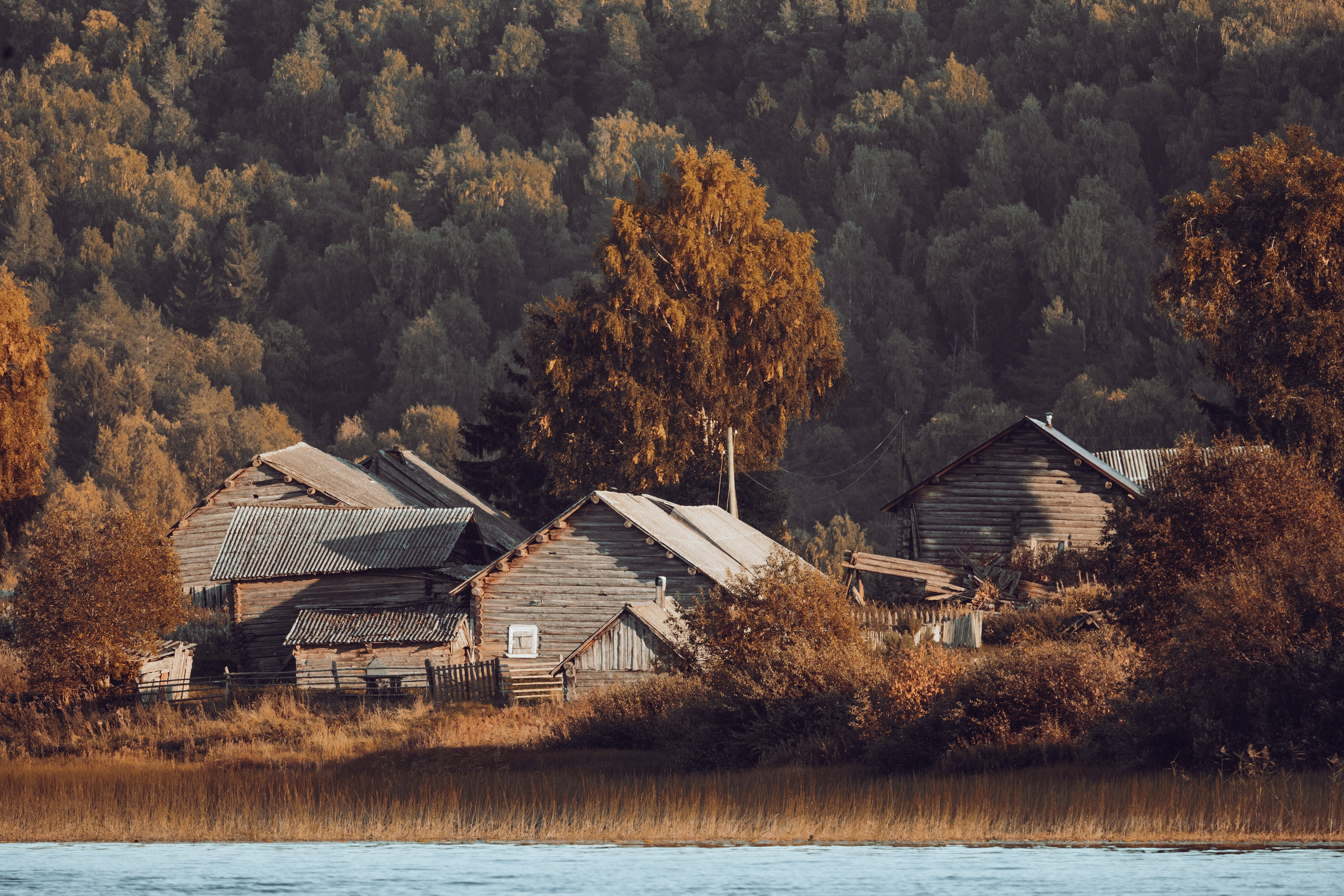 Кенозерье. Фотограф Александр Решня