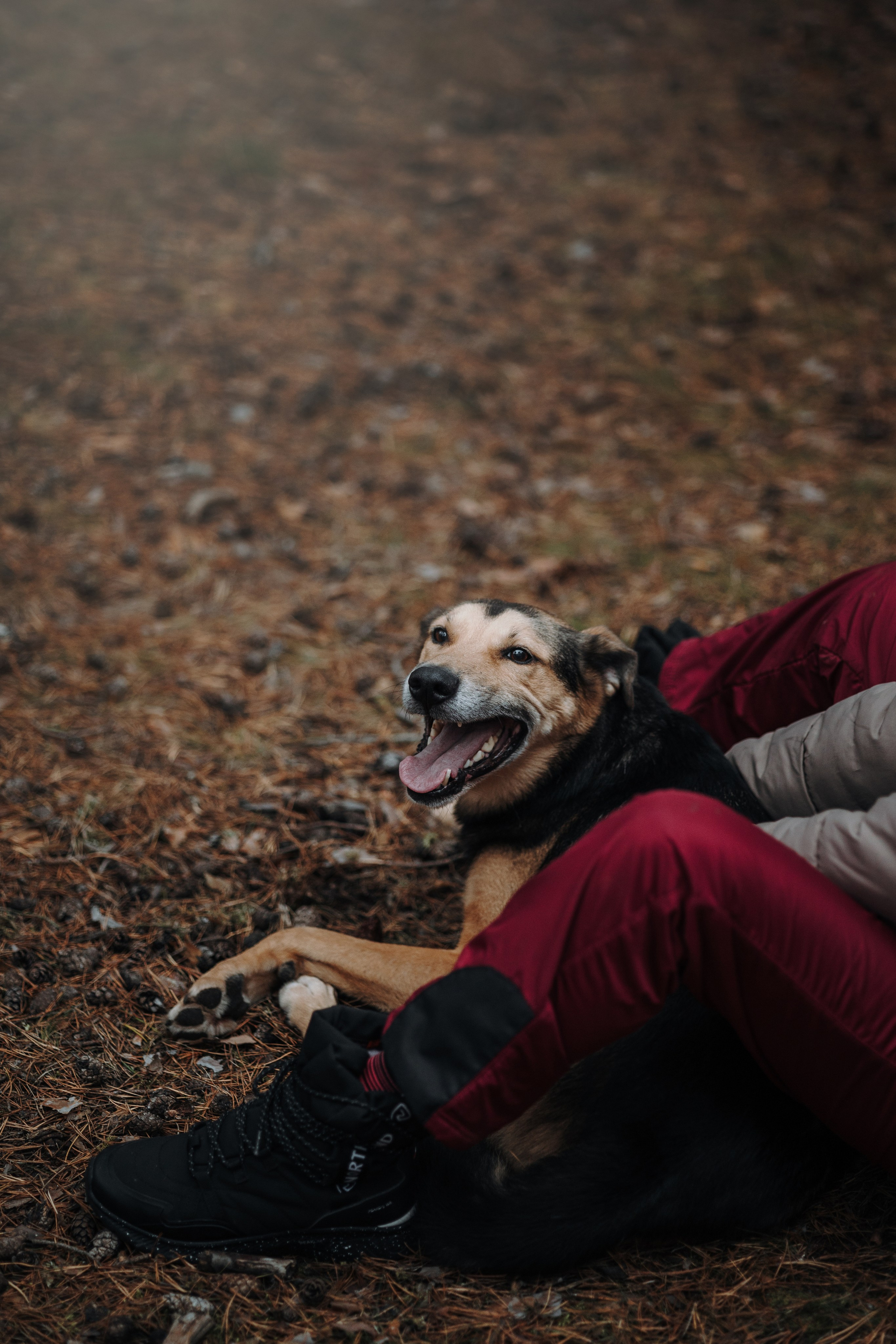 Наталья и Того. Фотограф — Анималист | Санкт-Петербург