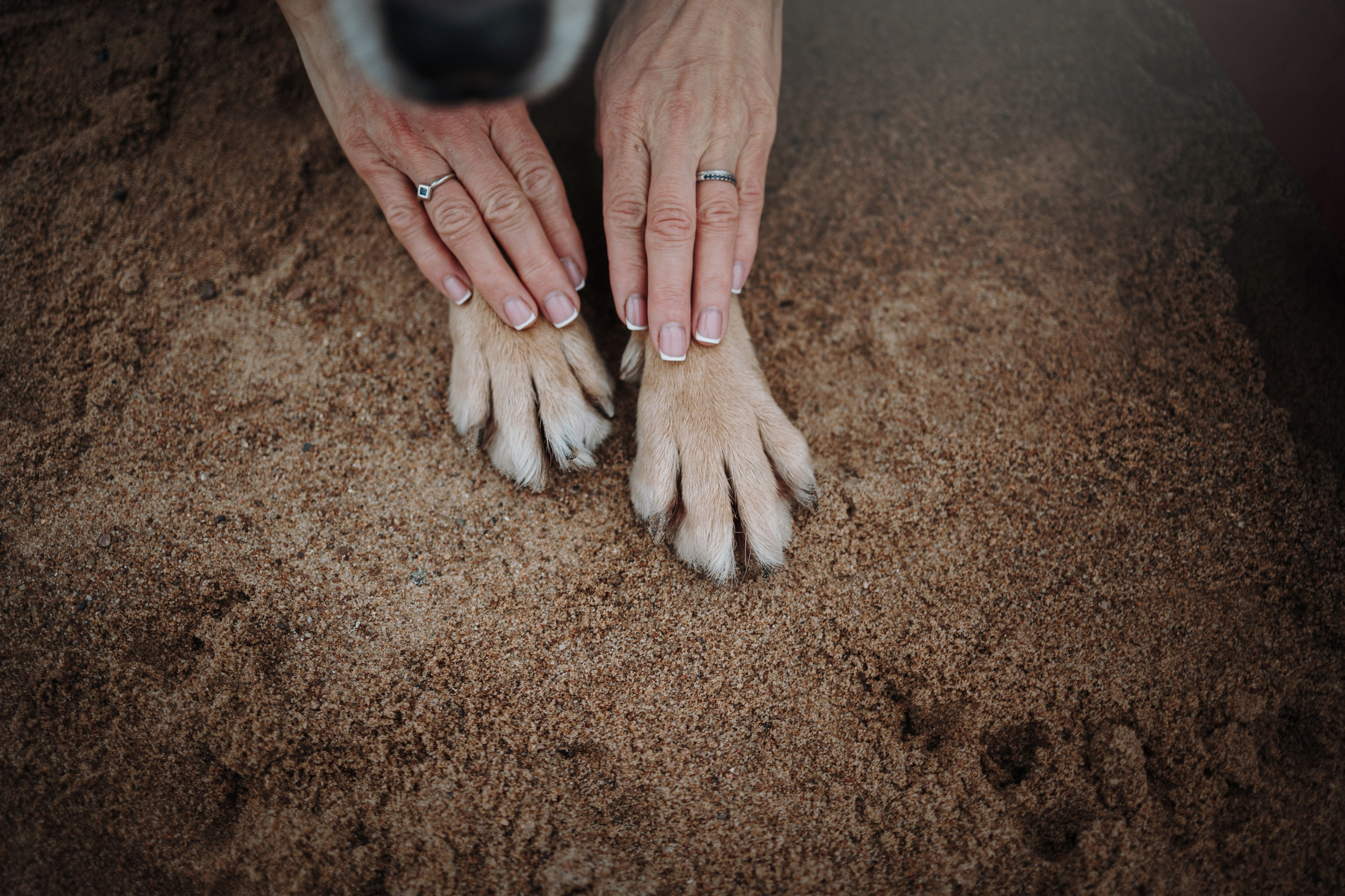 Наталья и Того. Фотограф — Анималист | Санкт-Петербург